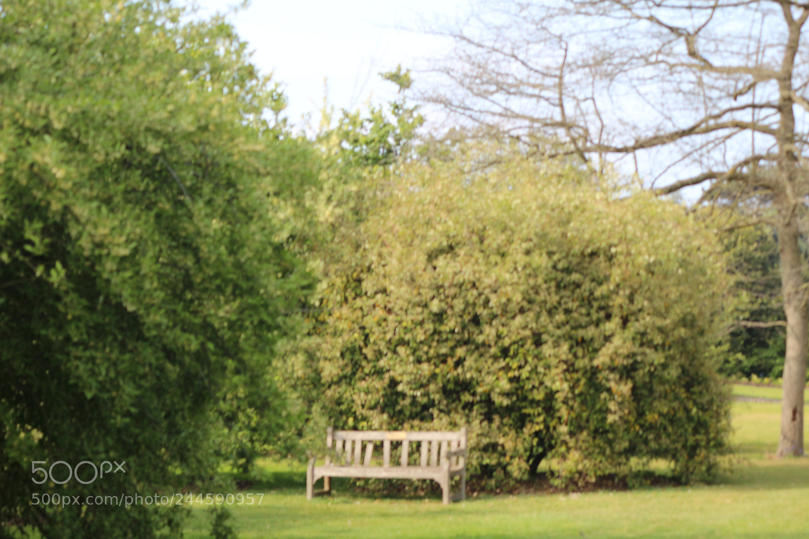 Canon EOS 650D (EOS Rebel T4i / EOS Kiss X6i) sample photo. Img photography
