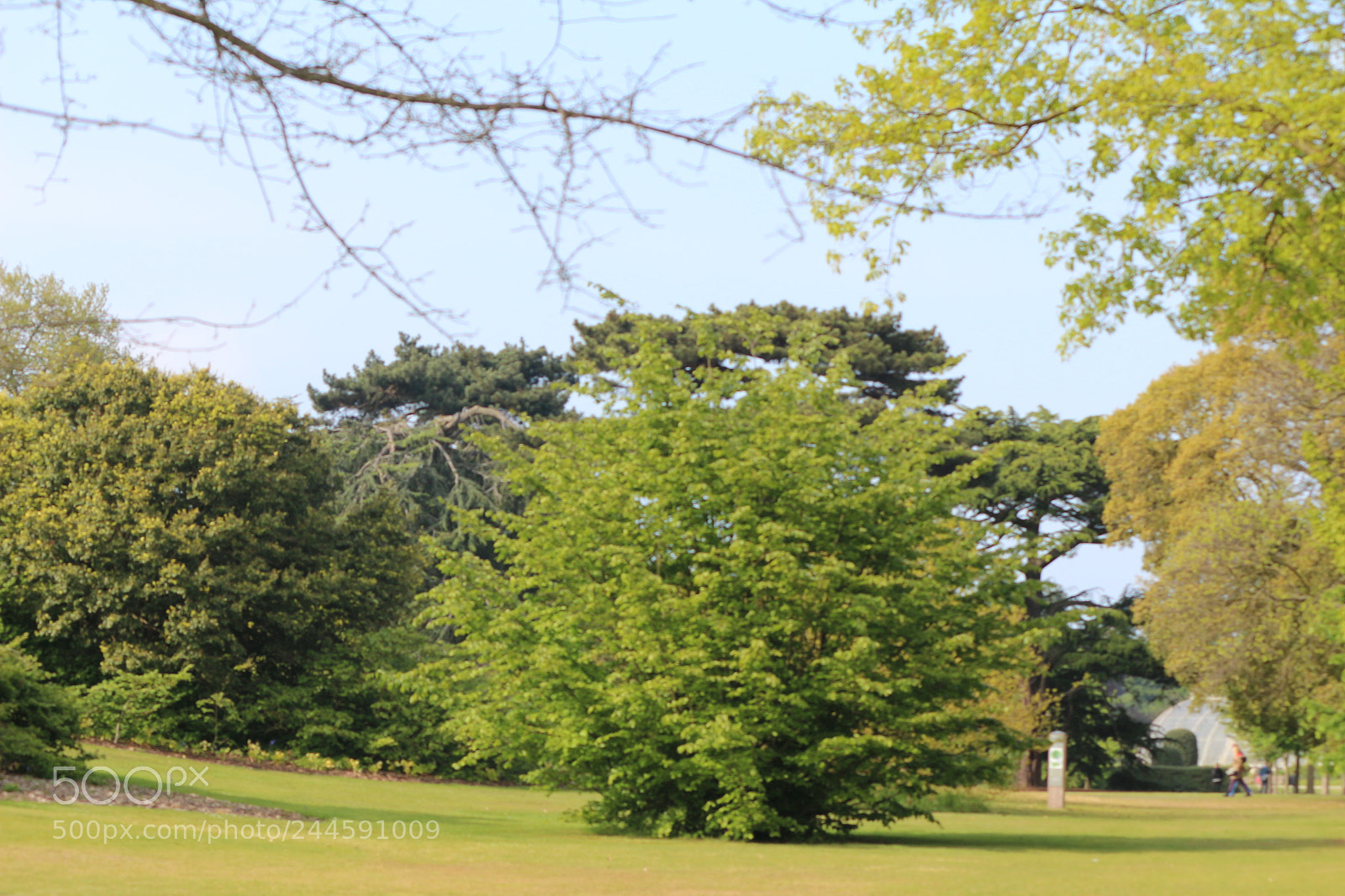 Canon EOS 650D (EOS Rebel T4i / EOS Kiss X6i) sample photo. Img photography