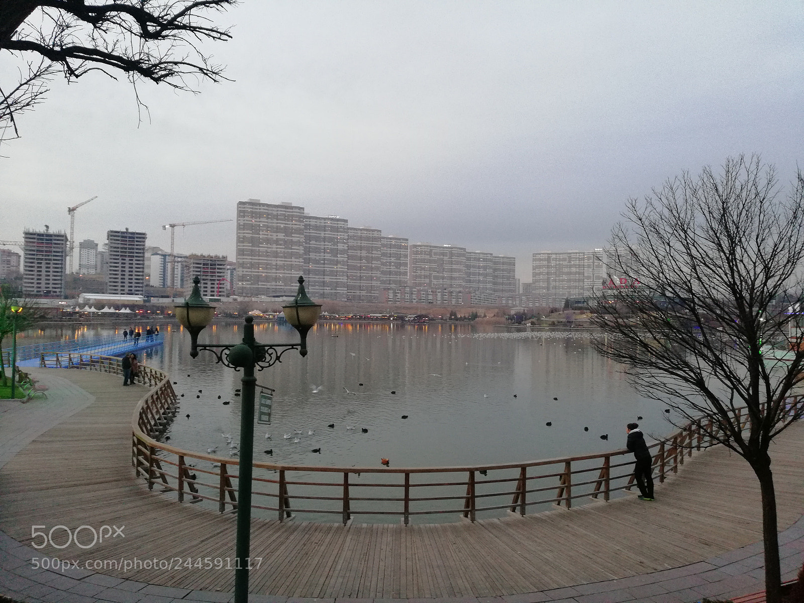 HUAWEI Mate 10 Lite sample photo. The lake photography