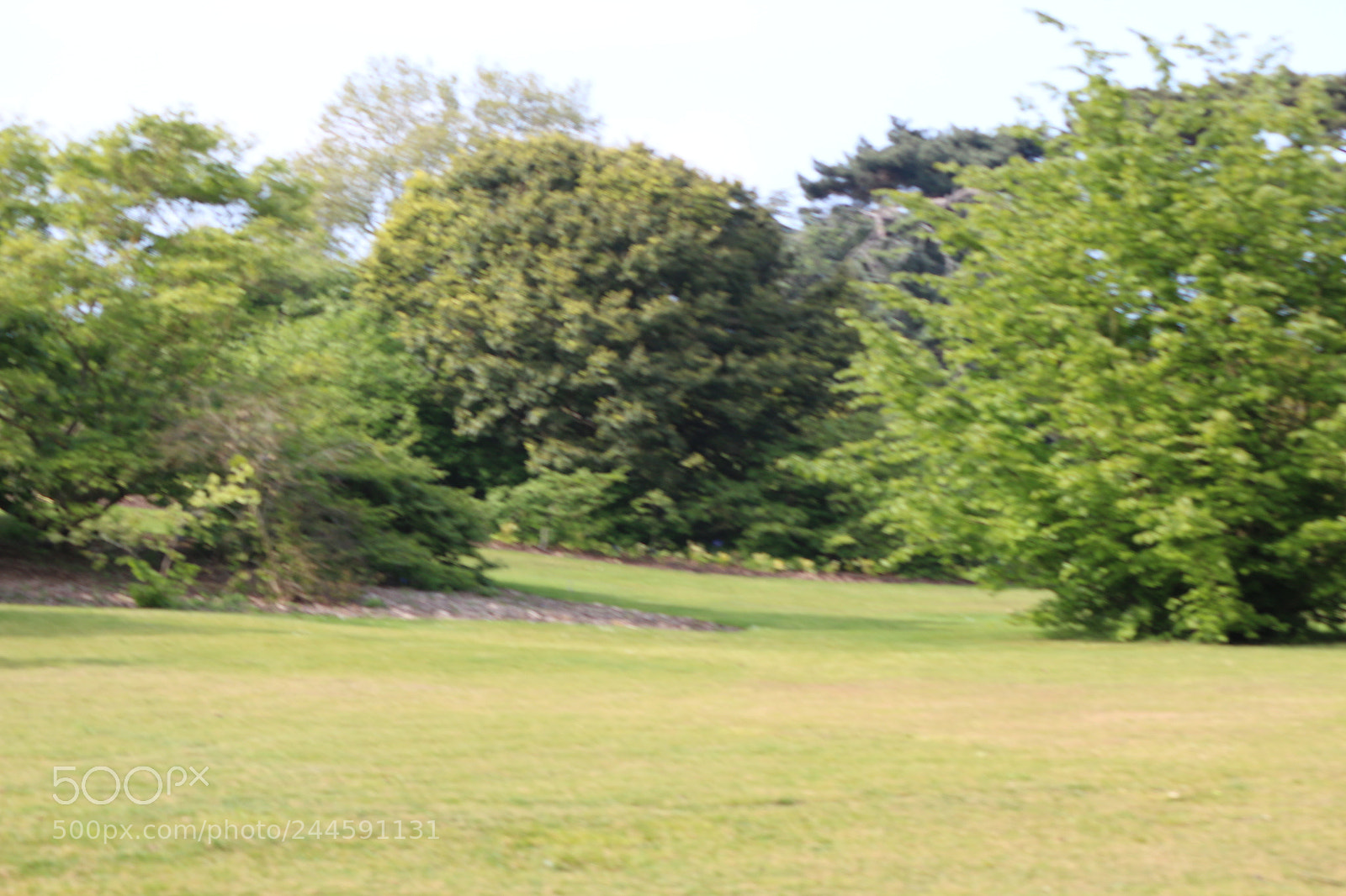 Canon EOS 650D (EOS Rebel T4i / EOS Kiss X6i) sample photo. Img photography