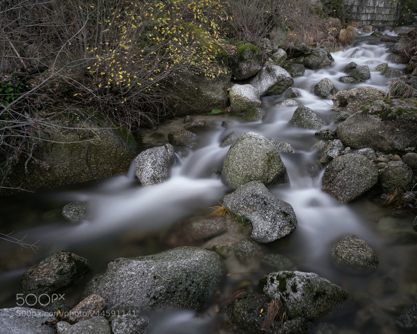 Sony a7 sample photo. Lost in thought photography