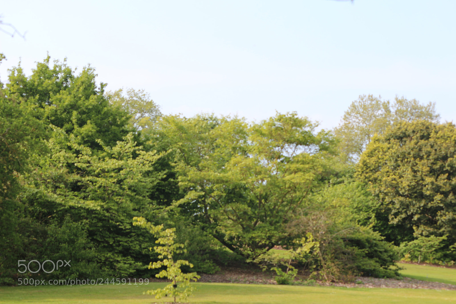 Canon EOS 650D (EOS Rebel T4i / EOS Kiss X6i) sample photo. Img photography