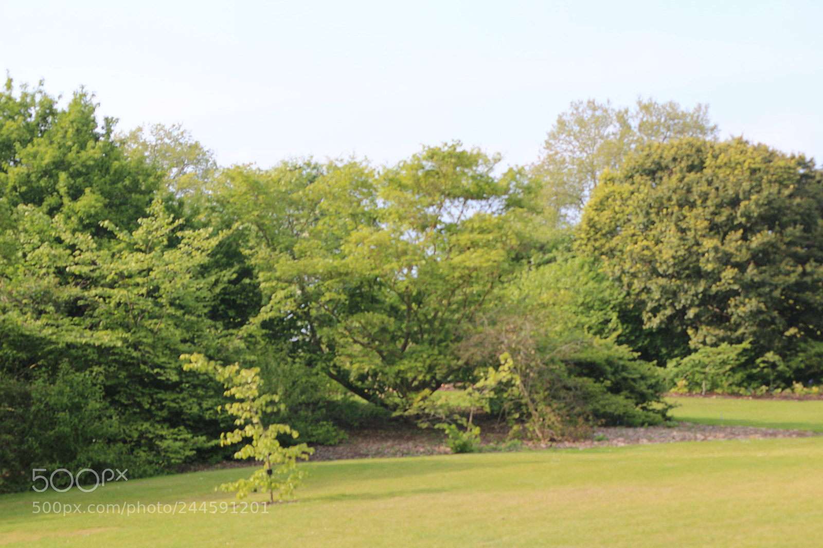 Canon EOS 650D (EOS Rebel T4i / EOS Kiss X6i) sample photo. Img photography