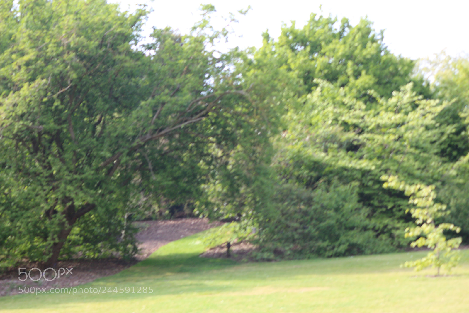 Canon EOS 650D (EOS Rebel T4i / EOS Kiss X6i) sample photo. Img photography