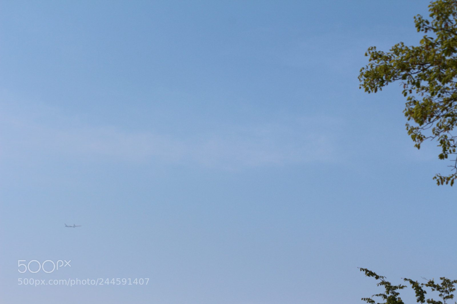 Canon EOS 650D (EOS Rebel T4i / EOS Kiss X6i) sample photo. Img photography
