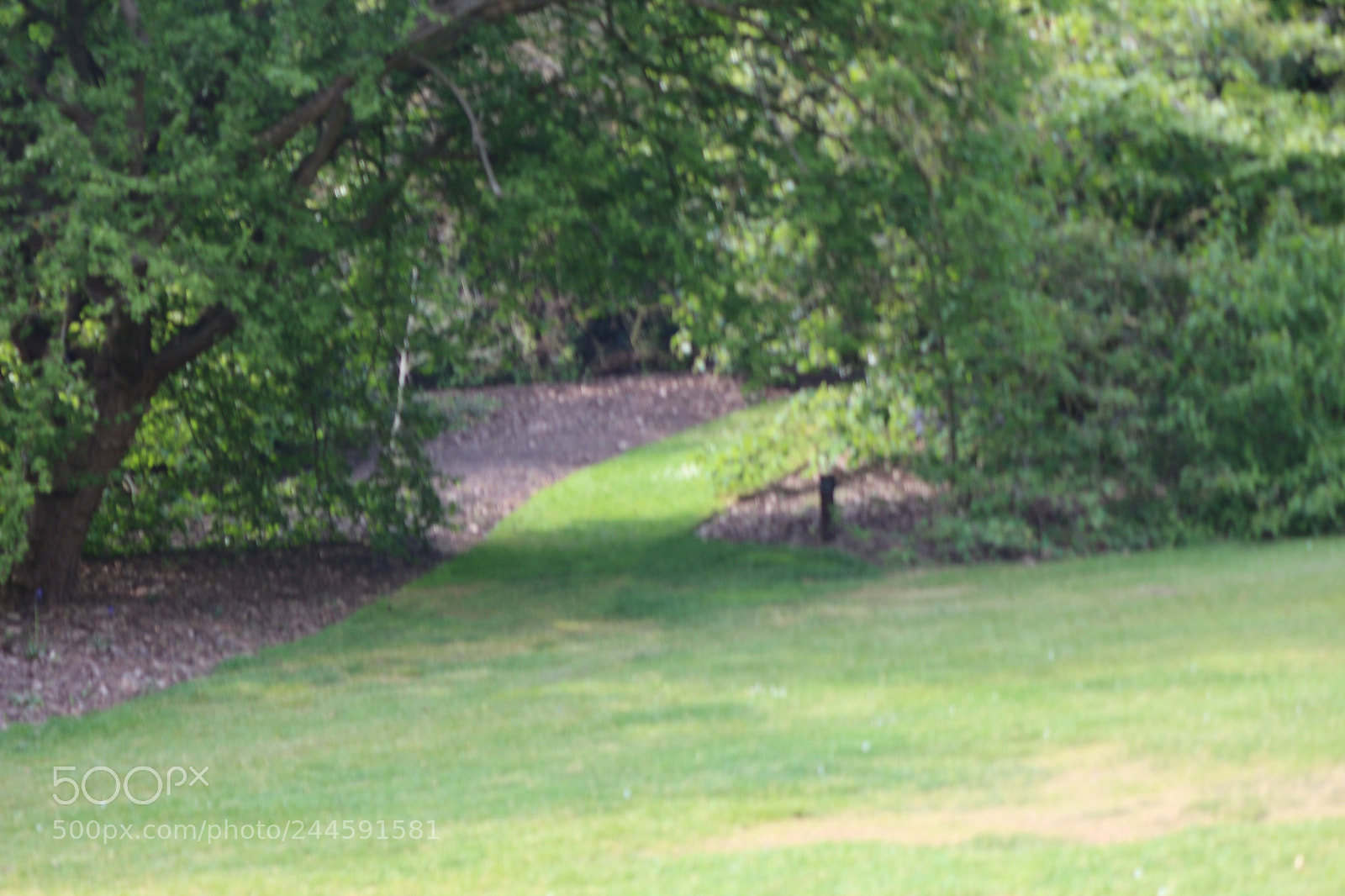 Canon EOS 650D (EOS Rebel T4i / EOS Kiss X6i) sample photo. Img photography