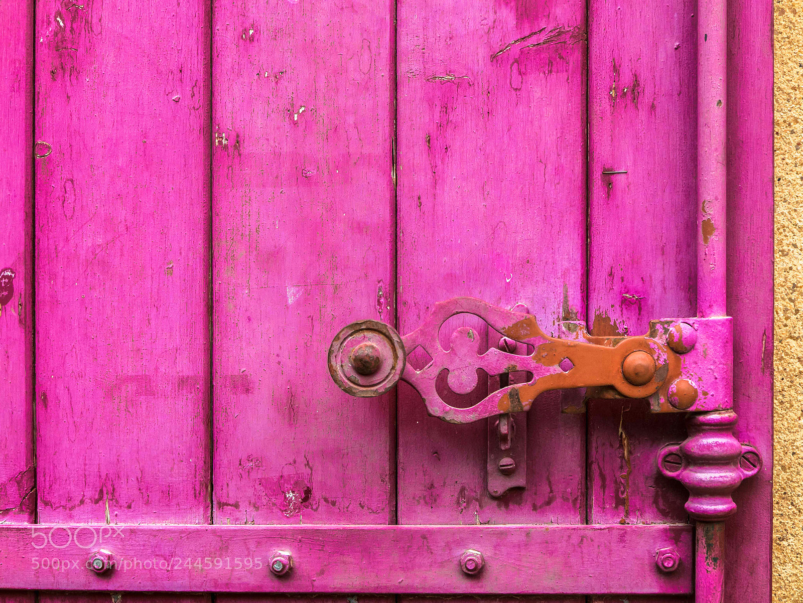 Panasonic Lumix DMC-LX100 sample photo. Think pink-i photography