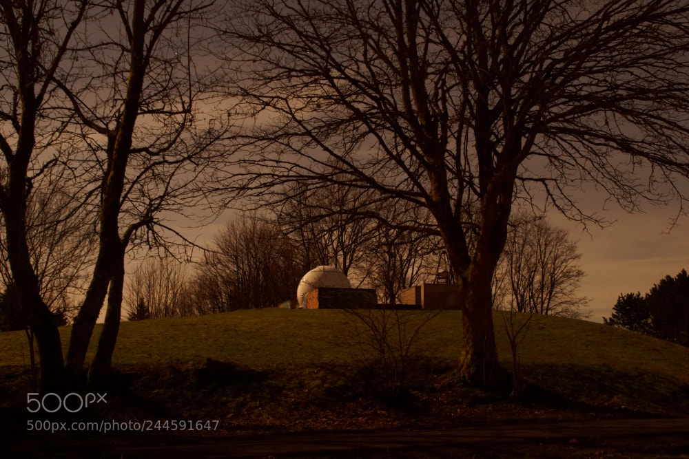 Sony SLT-A68 sample photo. Suhl nacht photography