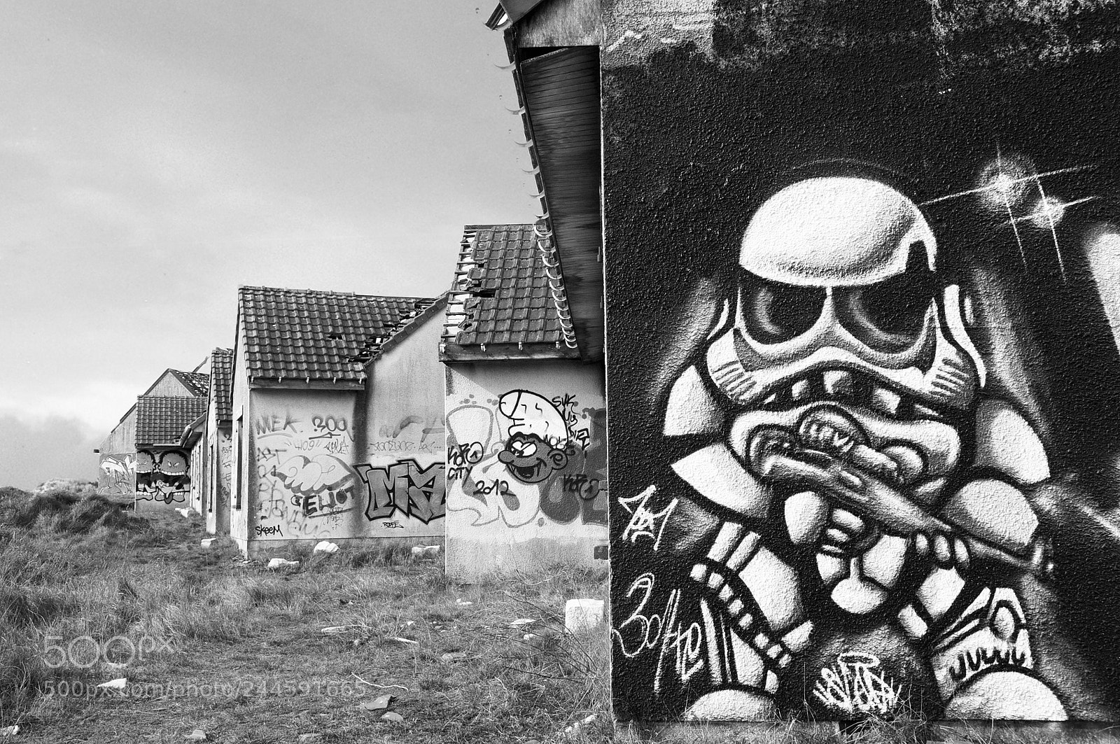 Nikon D300 sample photo. Trooper photography