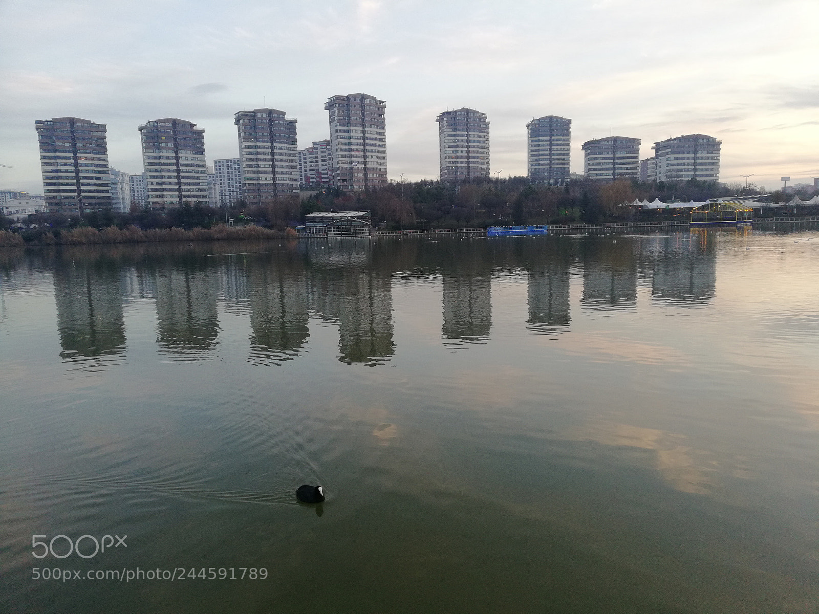 HUAWEI Mate 10 Lite sample photo. The undesired symmetry photography