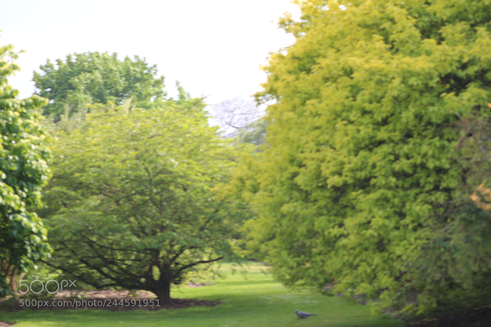 Canon EOS 650D (EOS Rebel T4i / EOS Kiss X6i) sample photo. Img photography