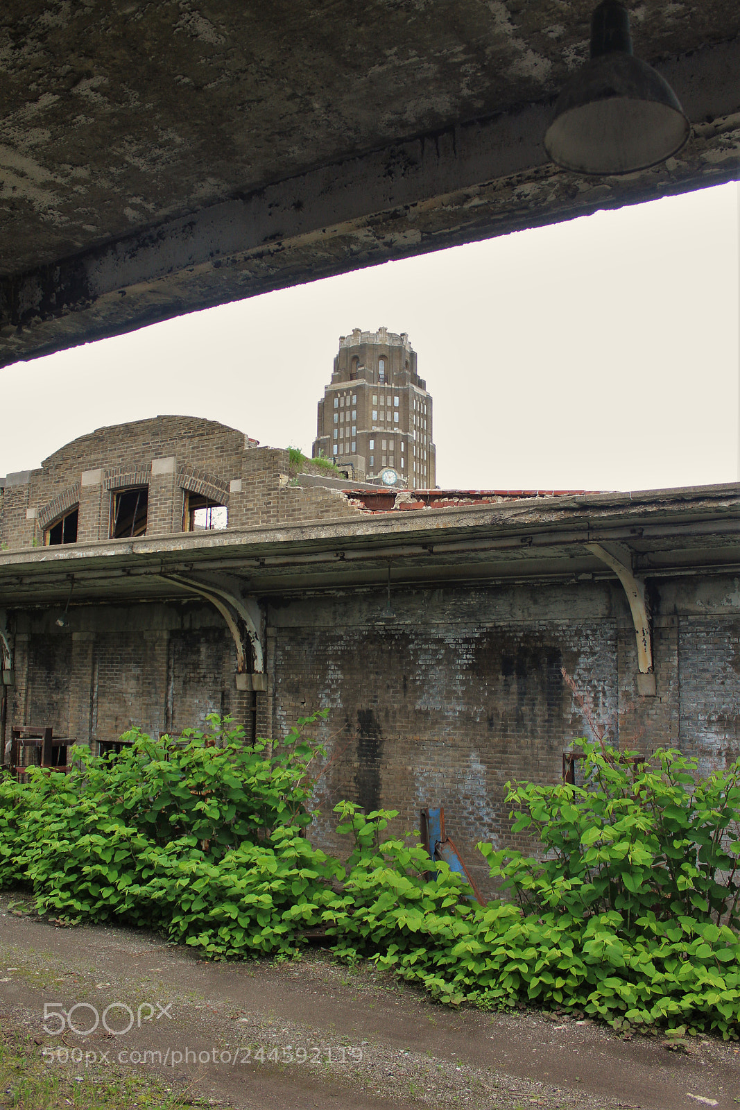 Canon EOS 1200D (EOS Rebel T5 / EOS Kiss X70 / EOS Hi) sample photo. Buffalo central terminal from photography