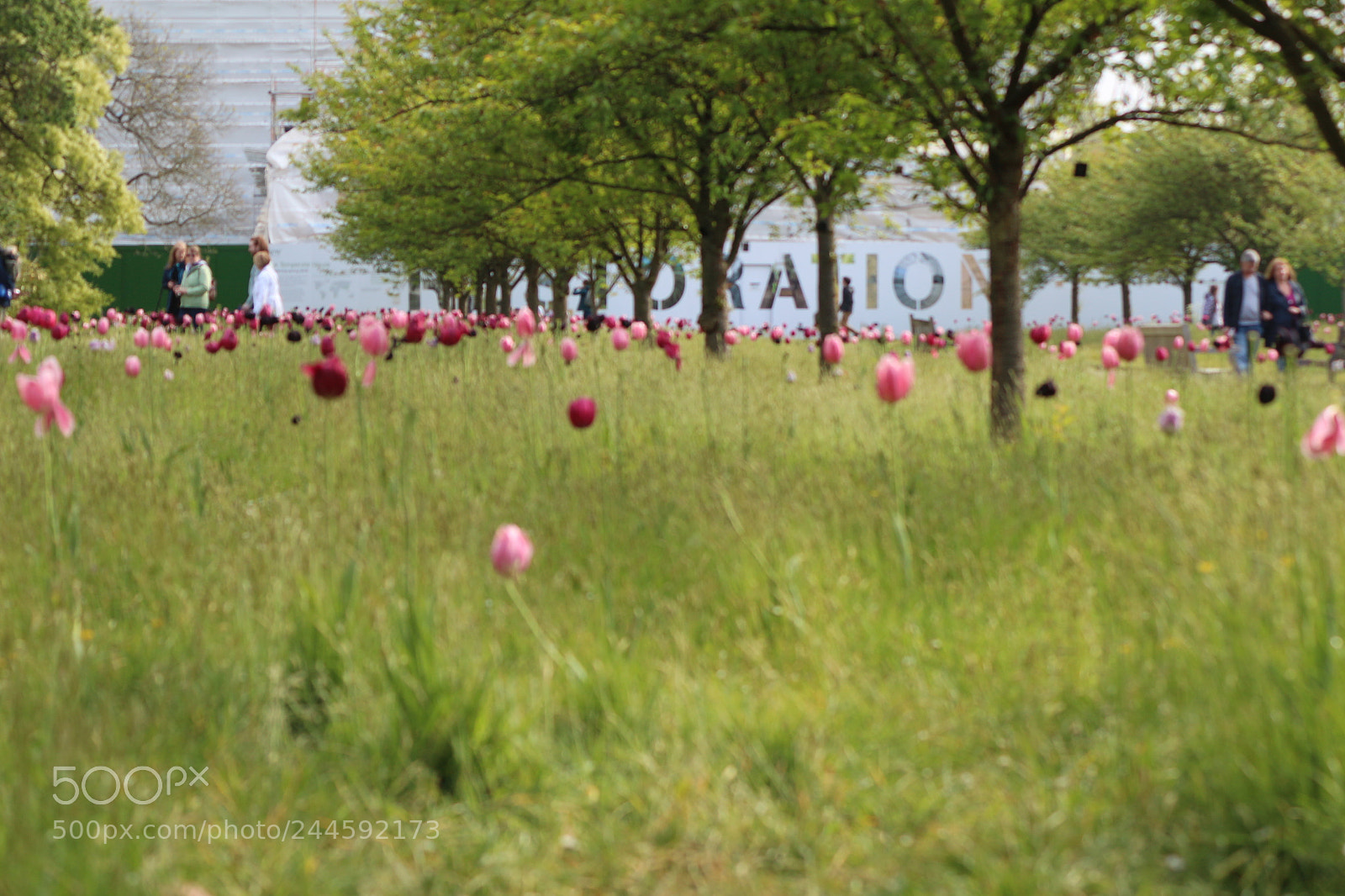 Canon EOS 650D (EOS Rebel T4i / EOS Kiss X6i) sample photo. Img photography
