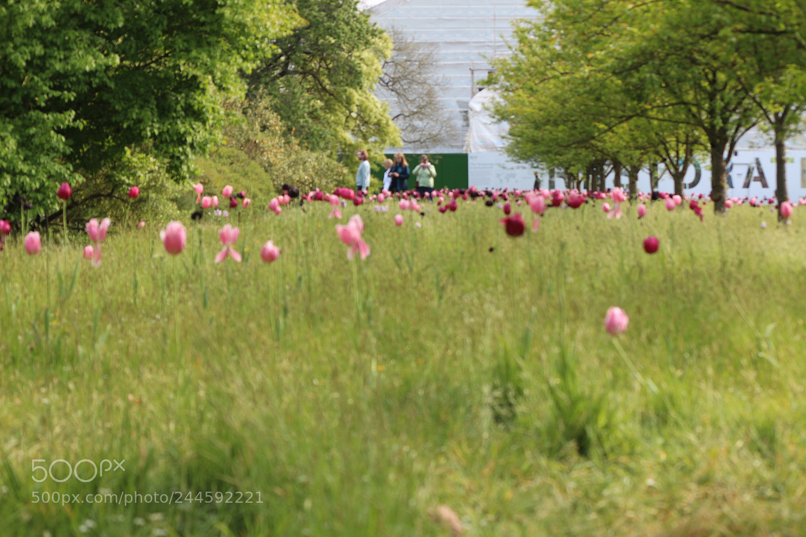 Canon EOS 650D (EOS Rebel T4i / EOS Kiss X6i) sample photo. Img photography