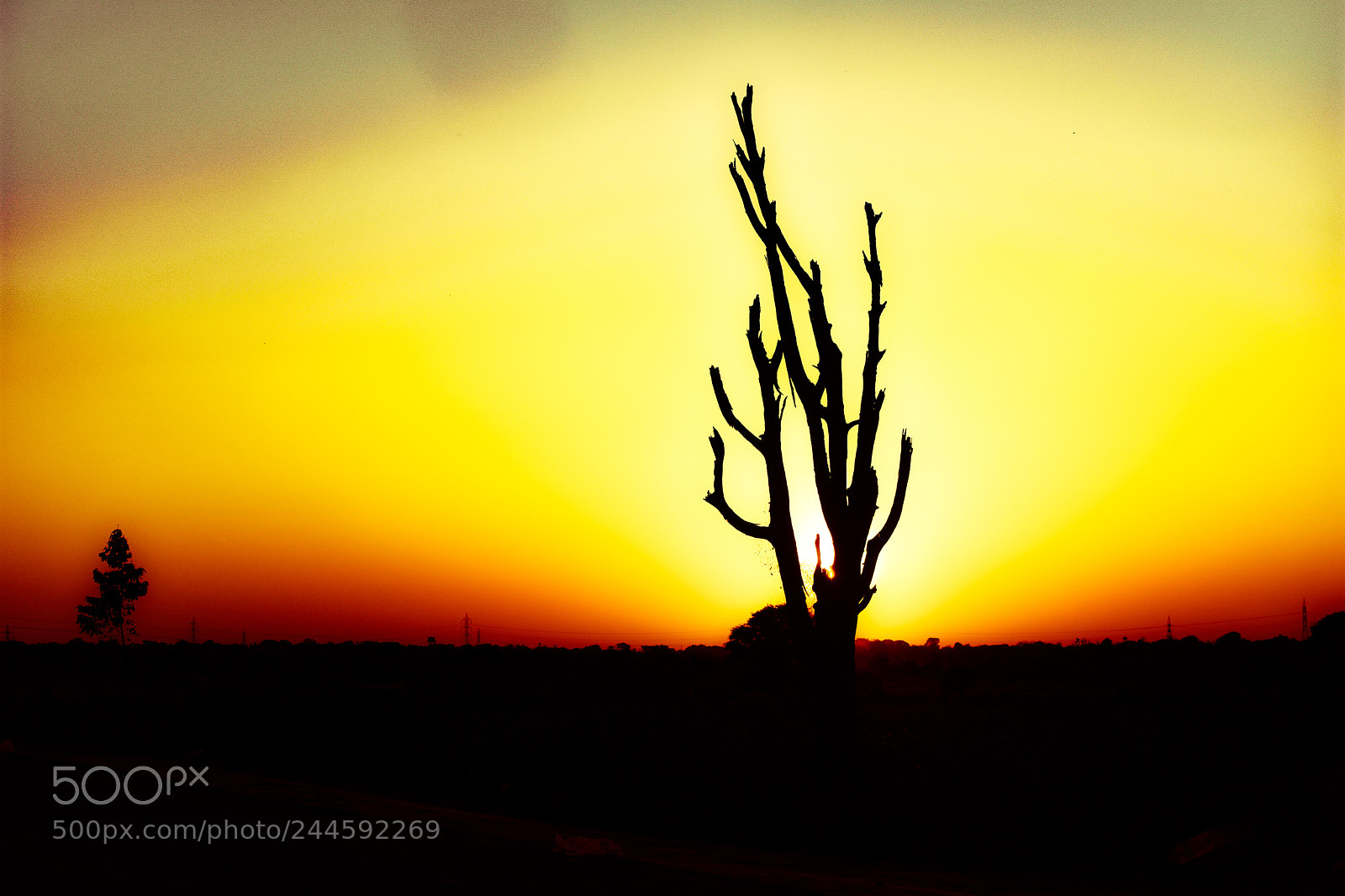 Nikon D3400 sample photo. Sunset photography