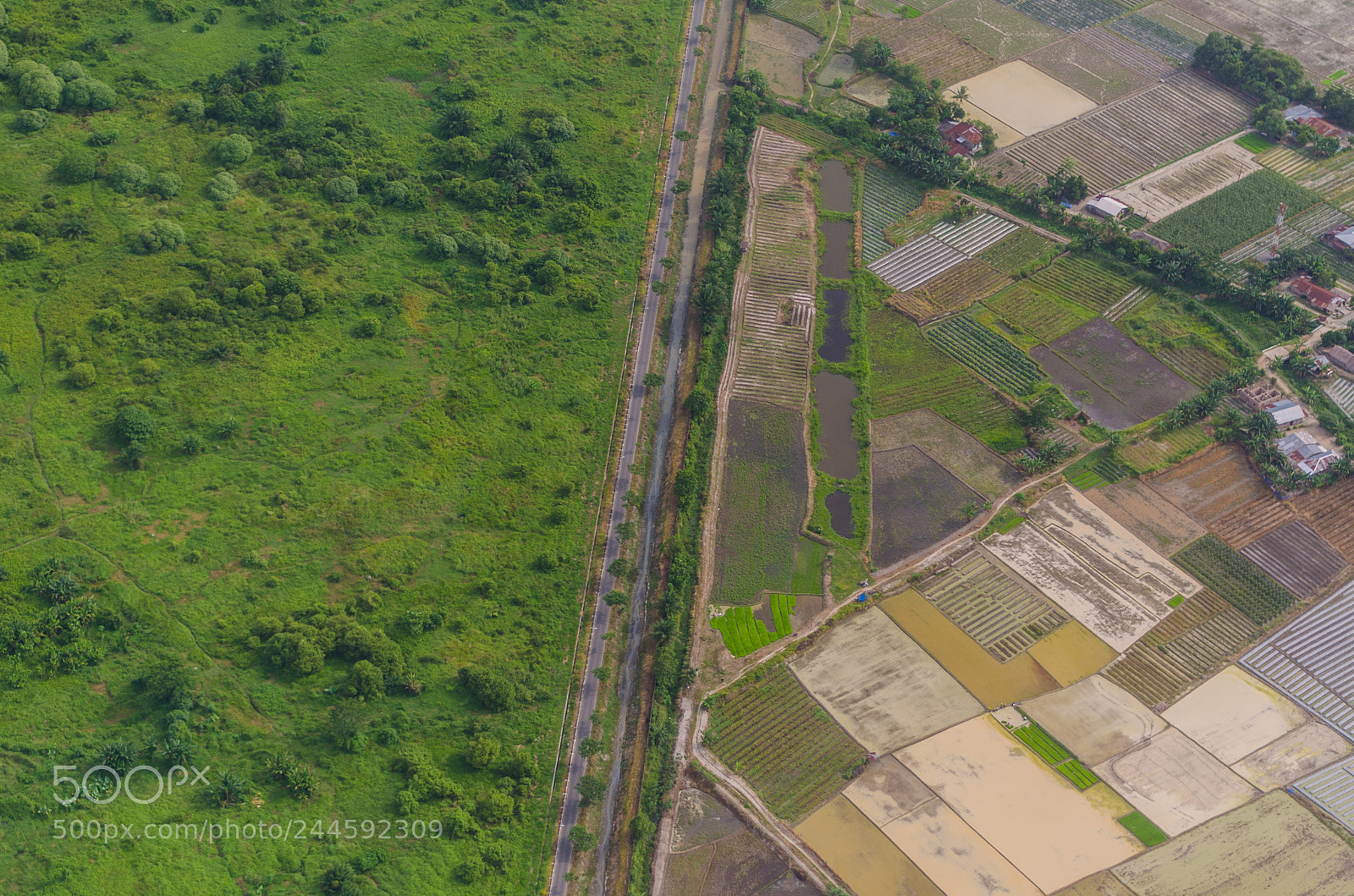 Nikon D5100 sample photo. Separated path photography