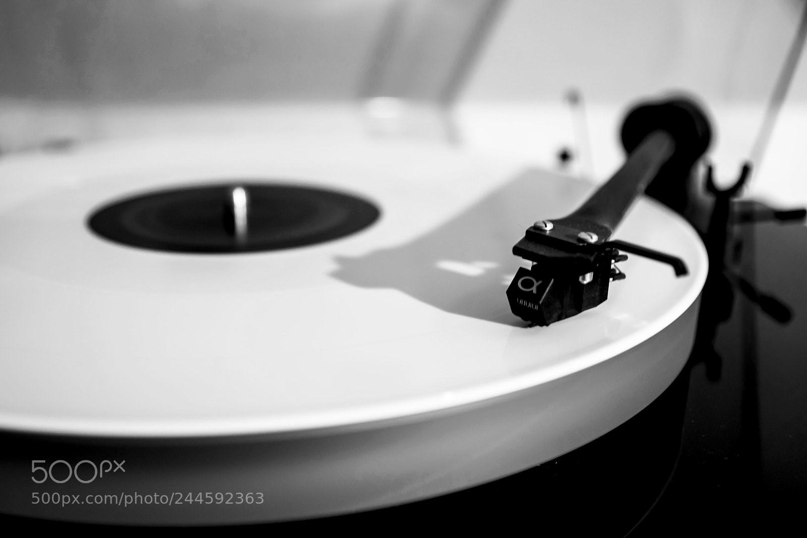 Nikon D7200 sample photo. Let´s go dancing photography