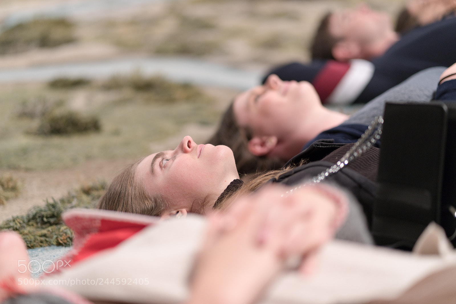 Sony a7R III sample photo. Ngv v photography