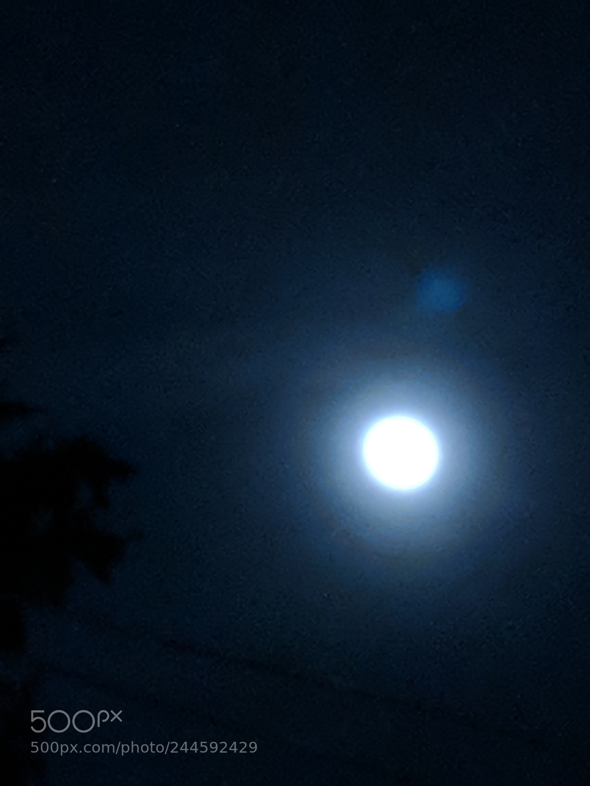 Google Pixel 2 sample photo. Super blue moon 1 photography