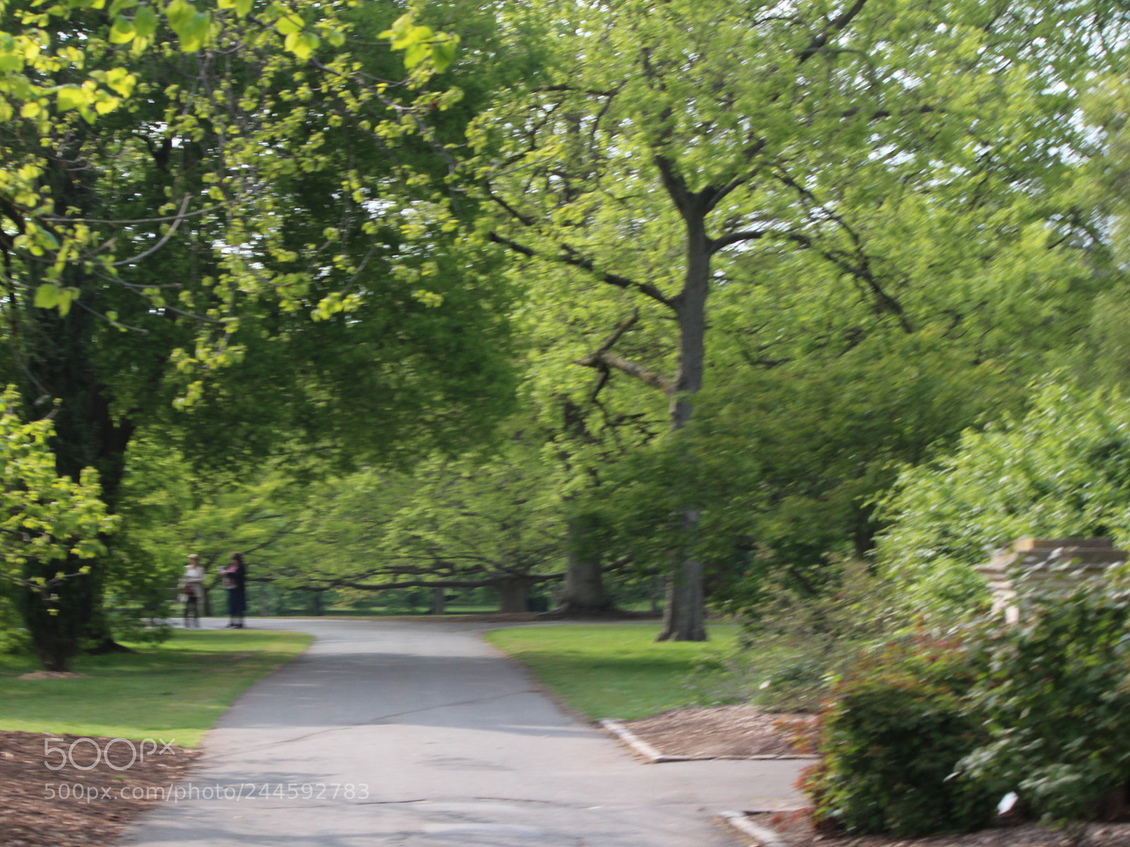 Canon EOS 650D (EOS Rebel T4i / EOS Kiss X6i) sample photo. Img photography