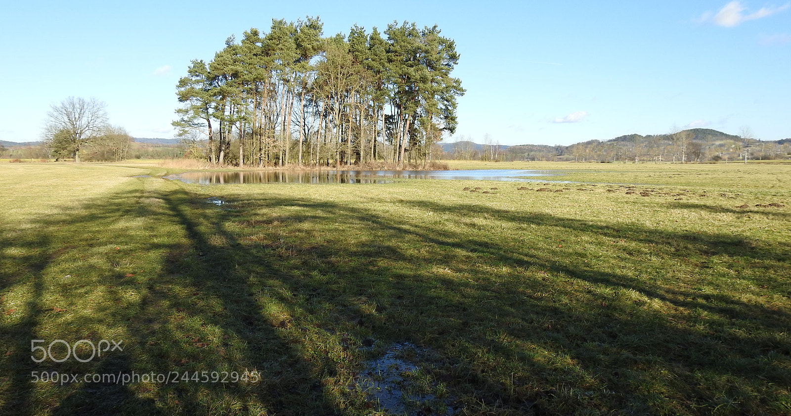 Nikon Coolpix P900 sample photo. Ohne schnee im januar photography