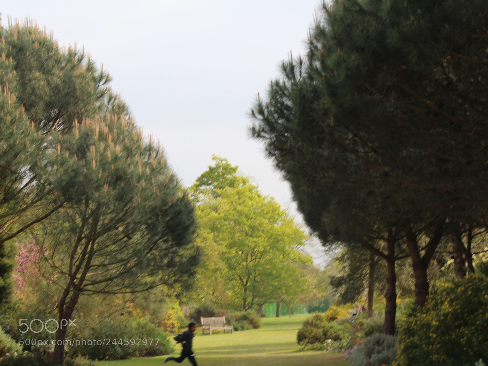 Canon EOS 650D (EOS Rebel T4i / EOS Kiss X6i) sample photo. Img photography