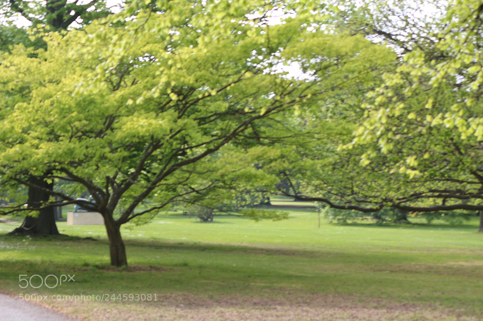 Canon EOS 650D (EOS Rebel T4i / EOS Kiss X6i) sample photo. Img photography