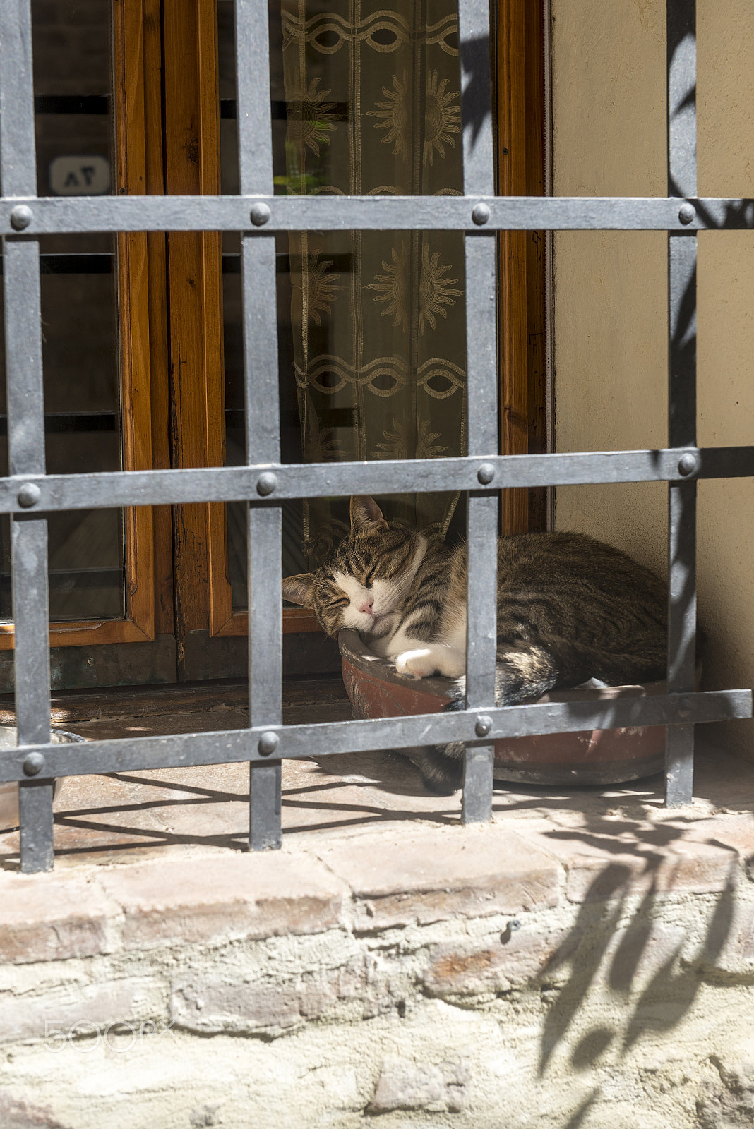 Nikon D800 sample photo. Colle di val d'elsa photography