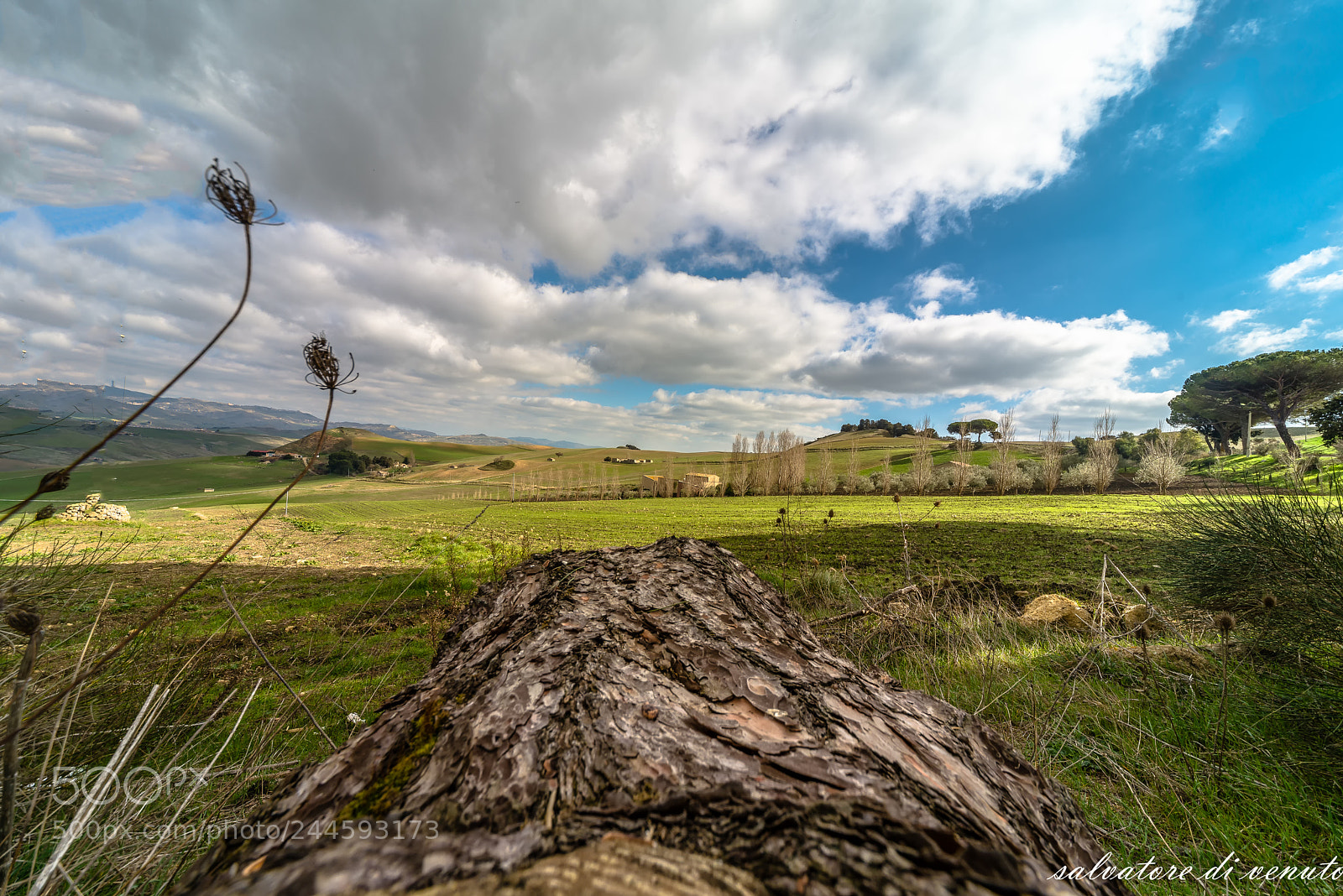 Nikon D610 sample photo. Sicilia photography
