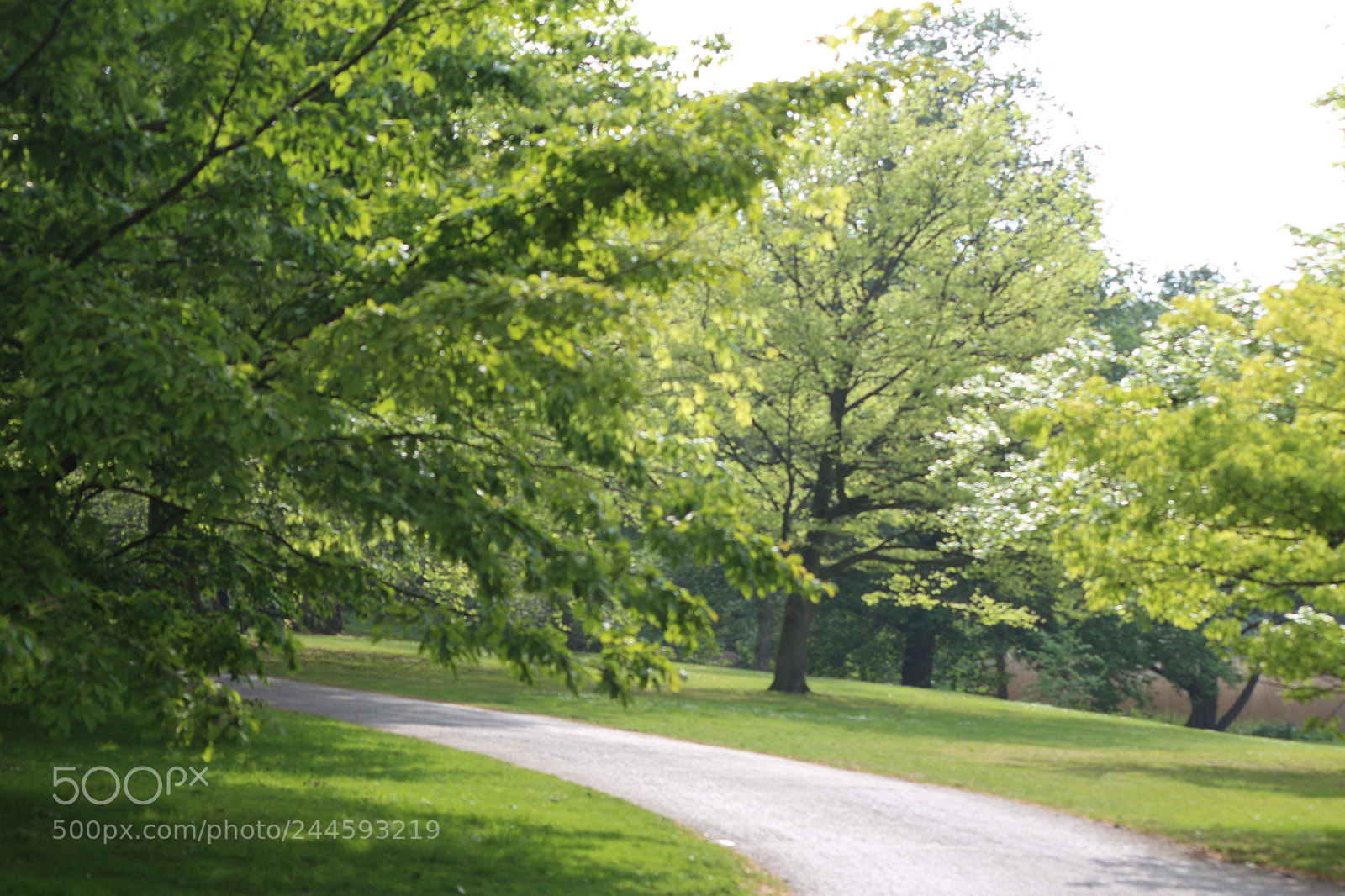 Canon EOS 650D (EOS Rebel T4i / EOS Kiss X6i) sample photo. Img photography