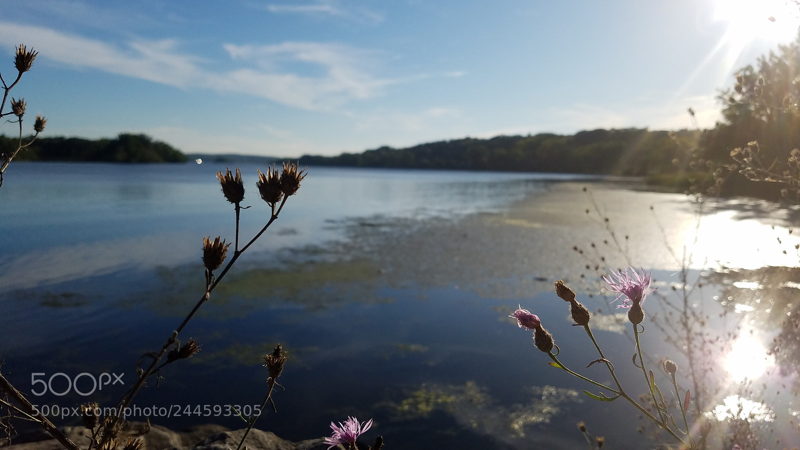Samsung Galaxy S7 sample photo. An afternoon by the photography