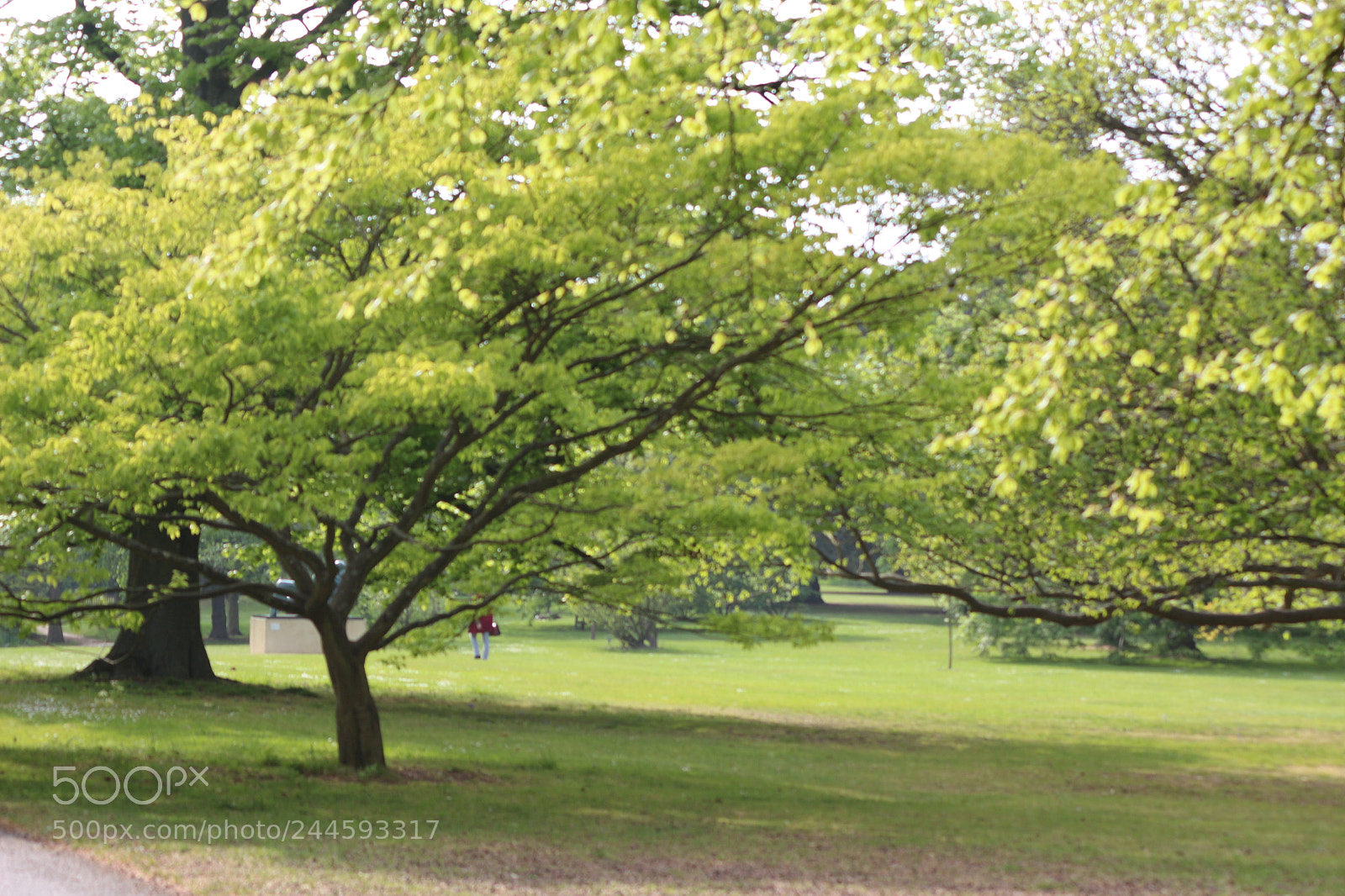 Canon EOS 650D (EOS Rebel T4i / EOS Kiss X6i) sample photo. Img photography