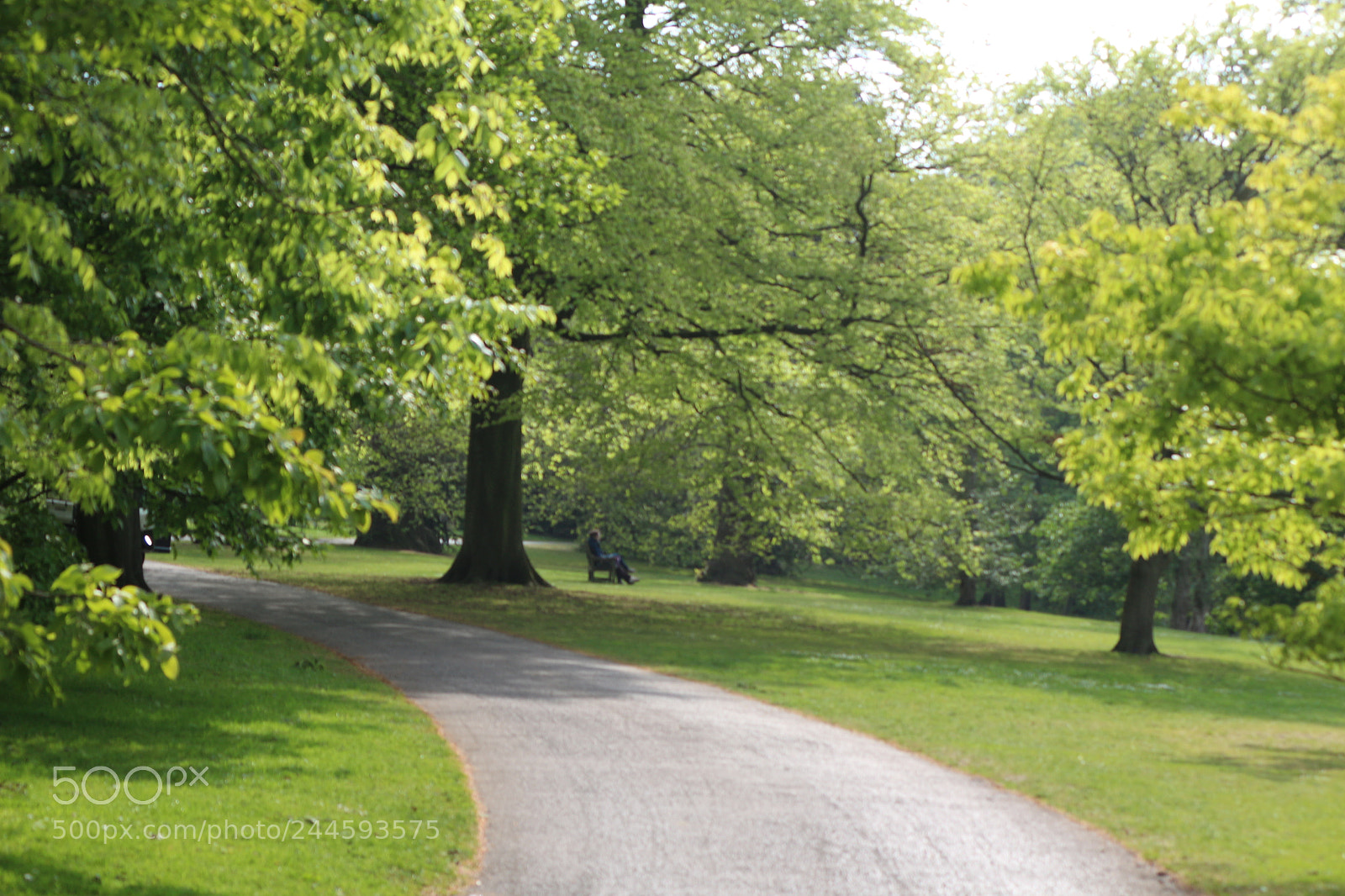 Canon EOS 650D (EOS Rebel T4i / EOS Kiss X6i) sample photo. Img photography