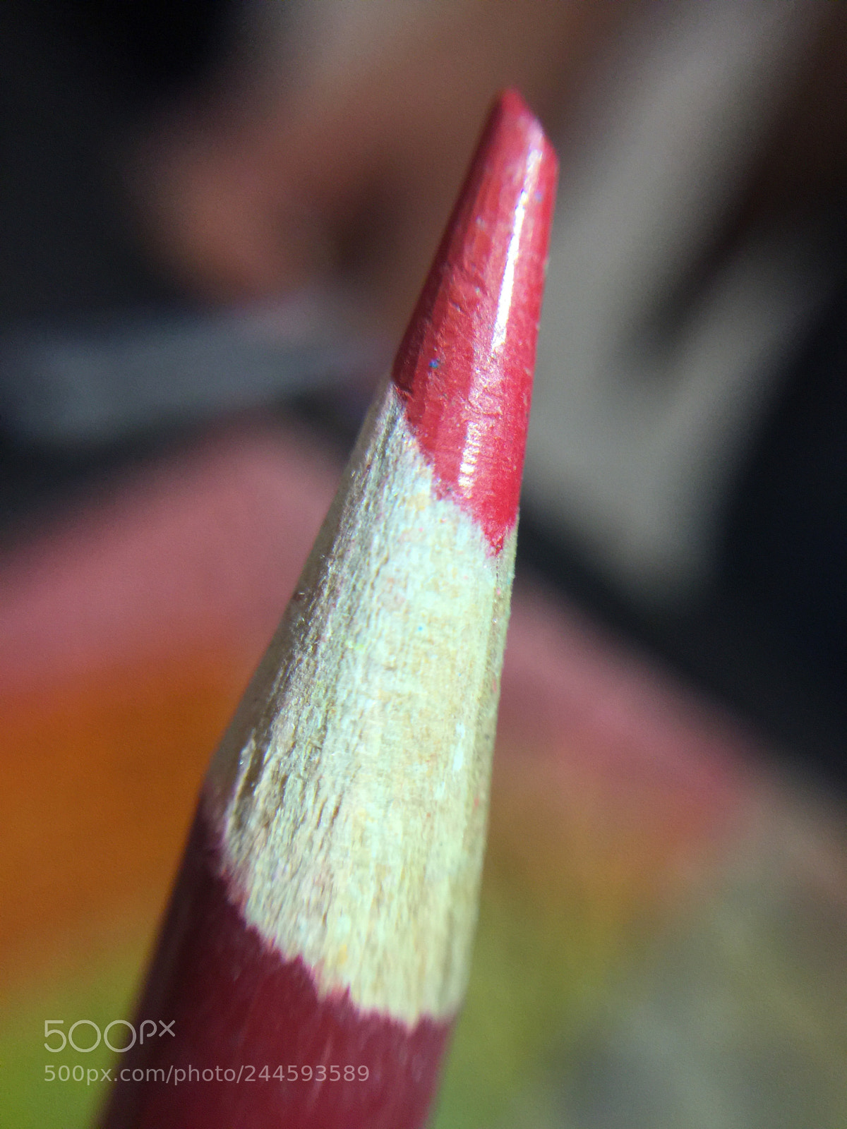Apple iPhone 6 Plus sample photo. Untitled photography
