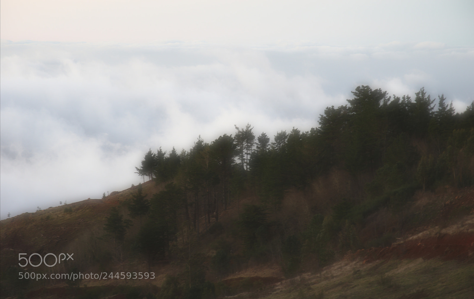 Pentax K-3 II sample photo. Madeira, late afternoon photography