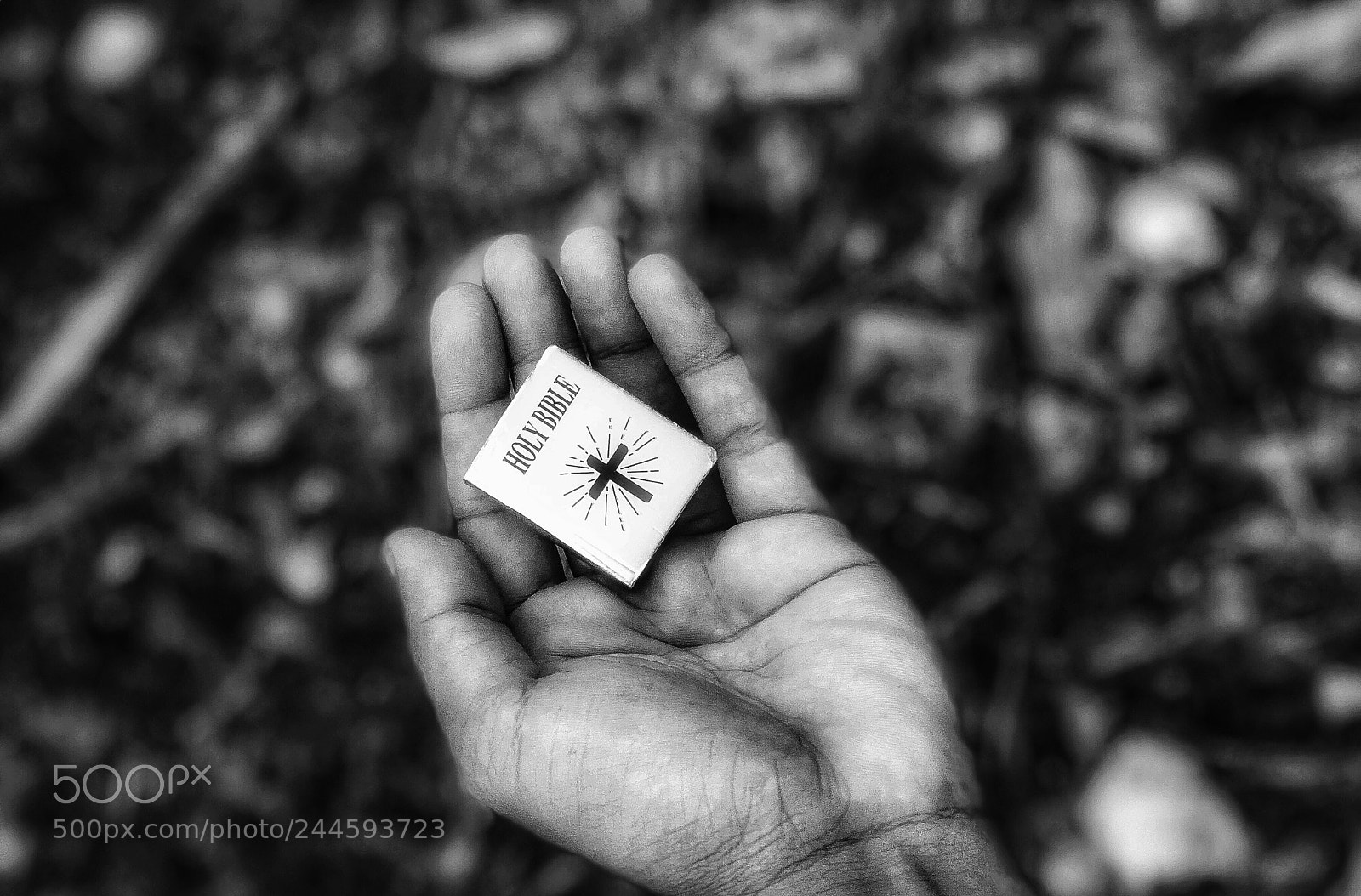 Apple iPhone X sample photo. Untitled photography