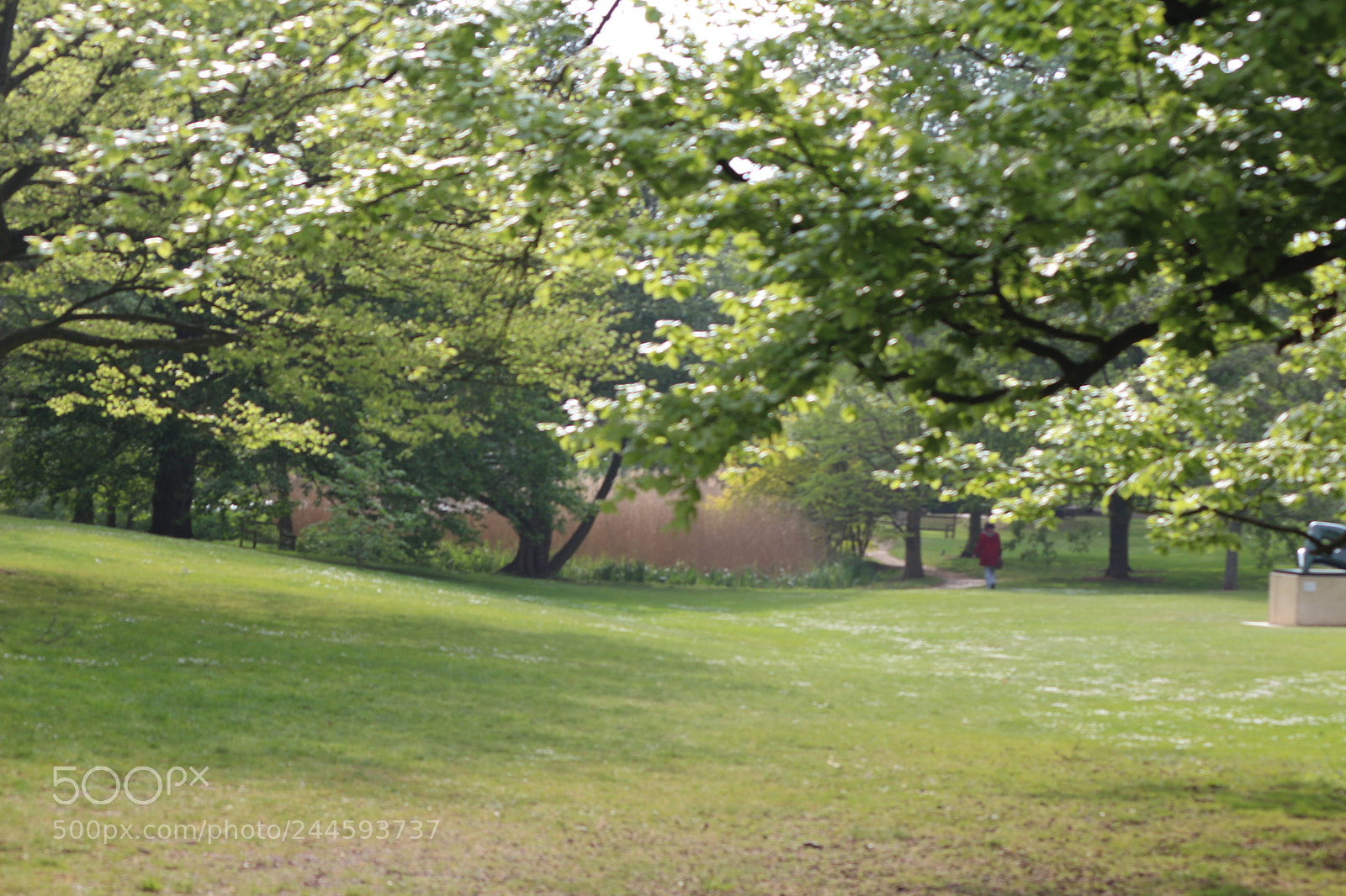 Canon EOS 650D (EOS Rebel T4i / EOS Kiss X6i) sample photo. Img photography