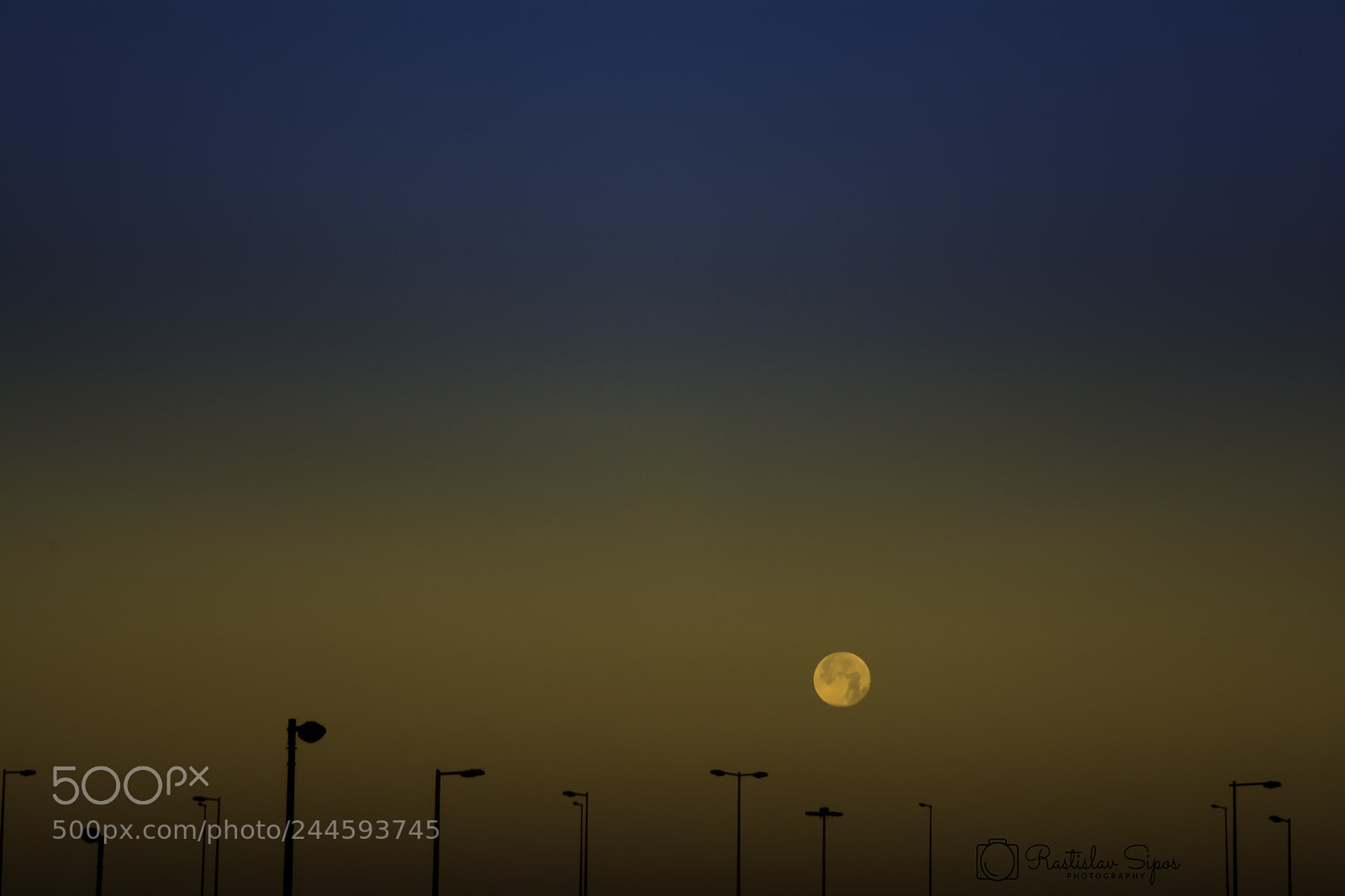 Nikon D7100 sample photo. Morning beauty photography