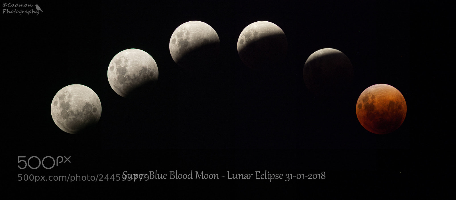 Olympus OM-D E-M5 II sample photo. Super blue blood moon photography