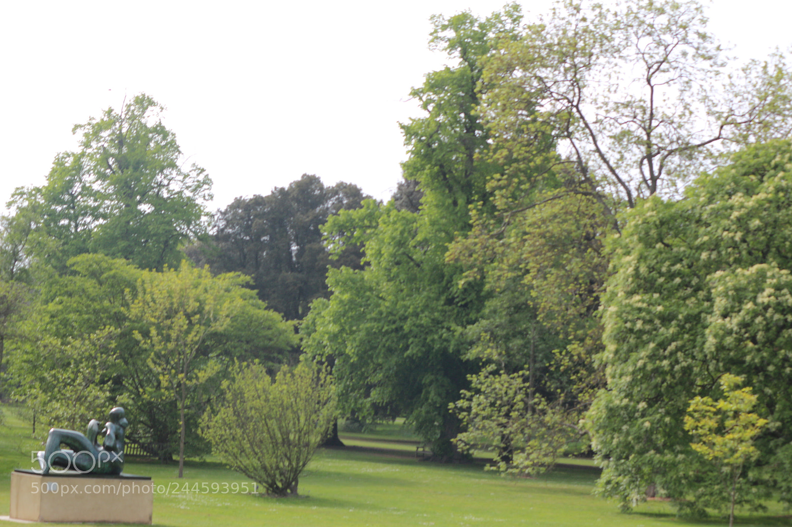 Canon EOS 650D (EOS Rebel T4i / EOS Kiss X6i) sample photo. Img photography