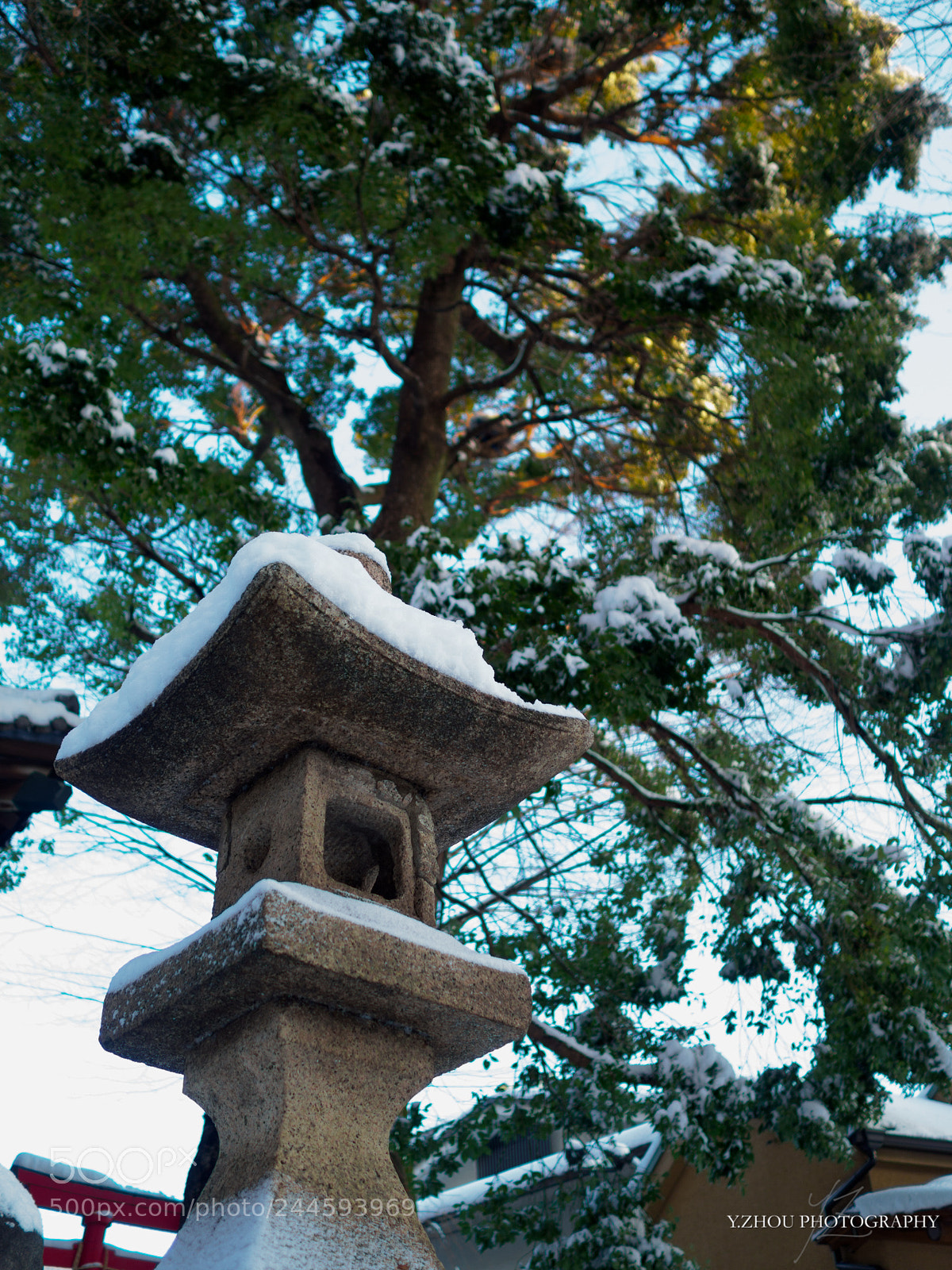 Olympus OM-D E-M1 Mark II sample photo. After snow photography