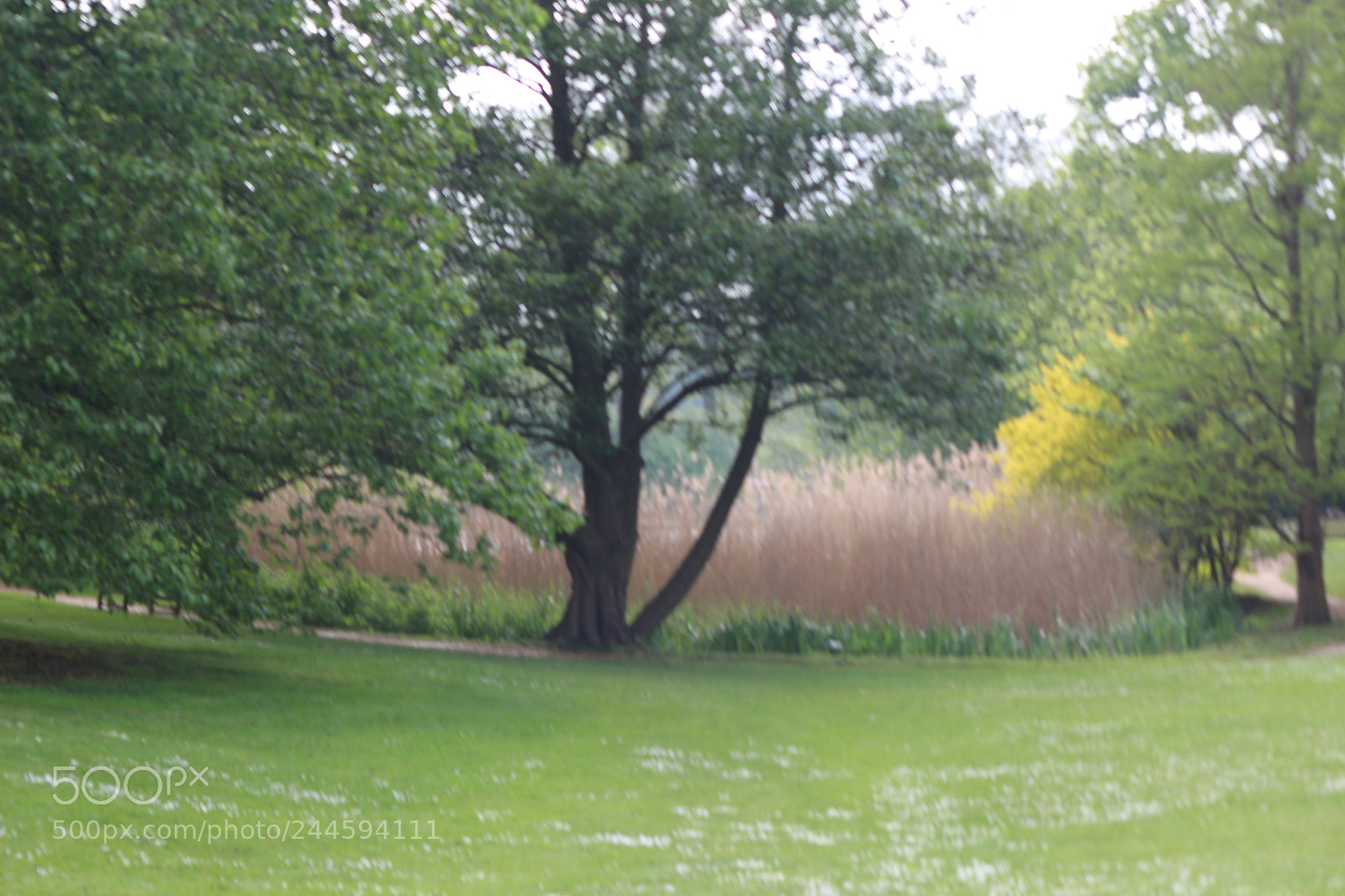Canon EOS 650D (EOS Rebel T4i / EOS Kiss X6i) sample photo. Img photography