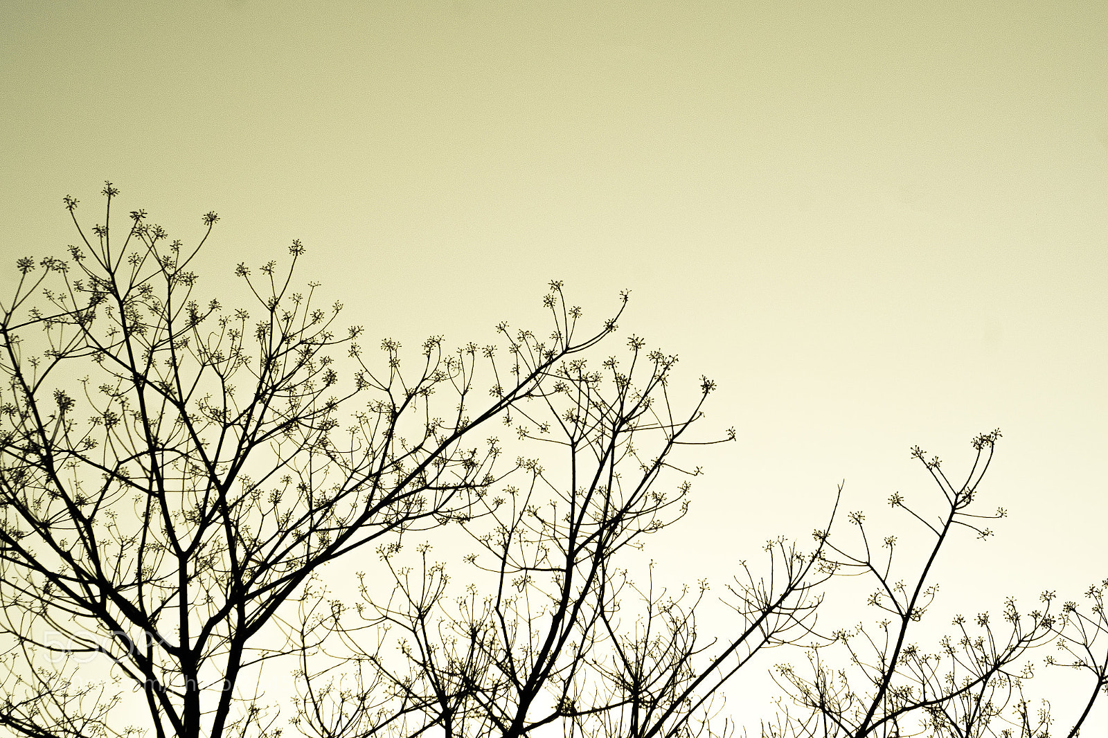 Fujifilm X-E1 sample photo. Evening photography