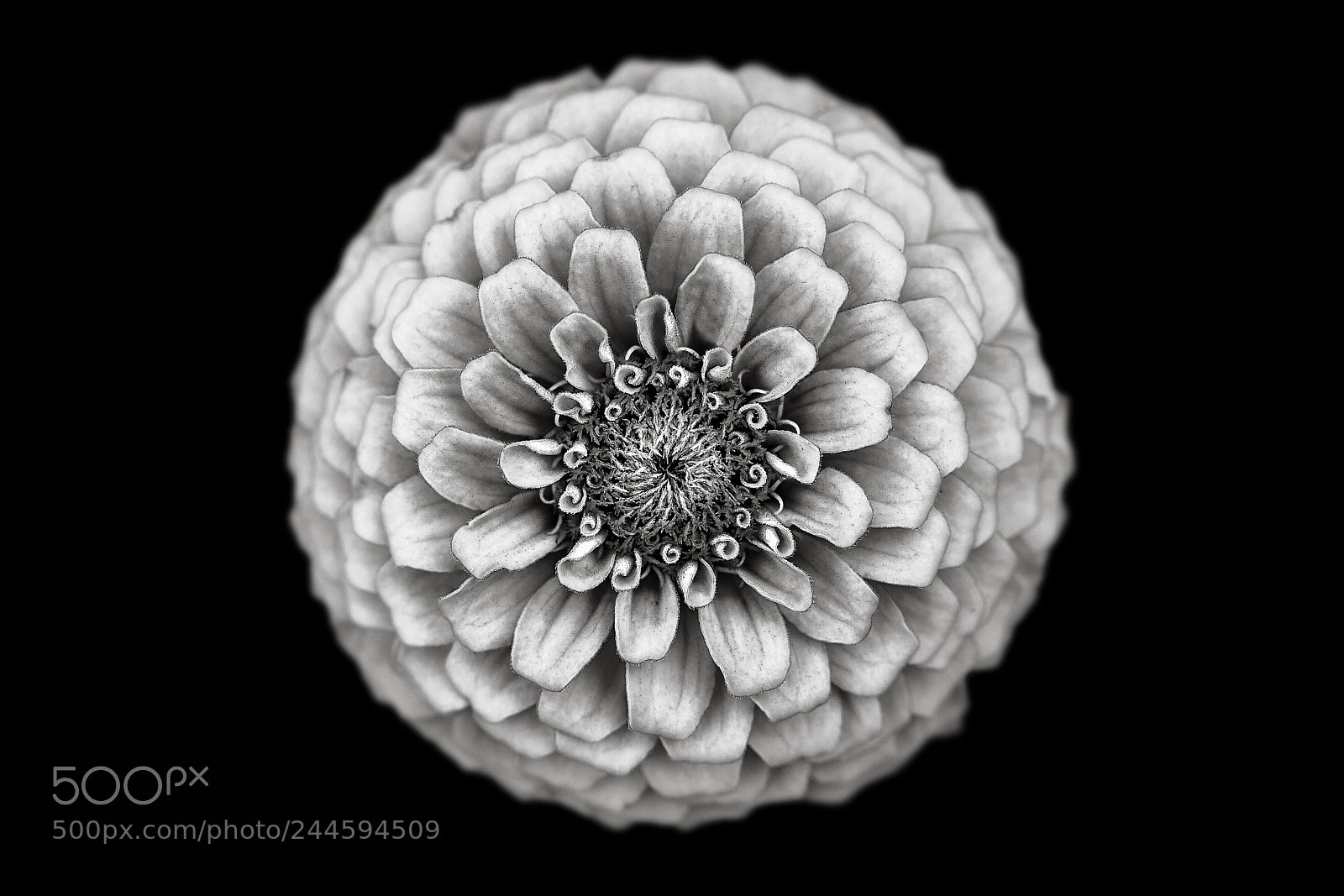 Canon EOS 40D sample photo. Simple geometry bw photography