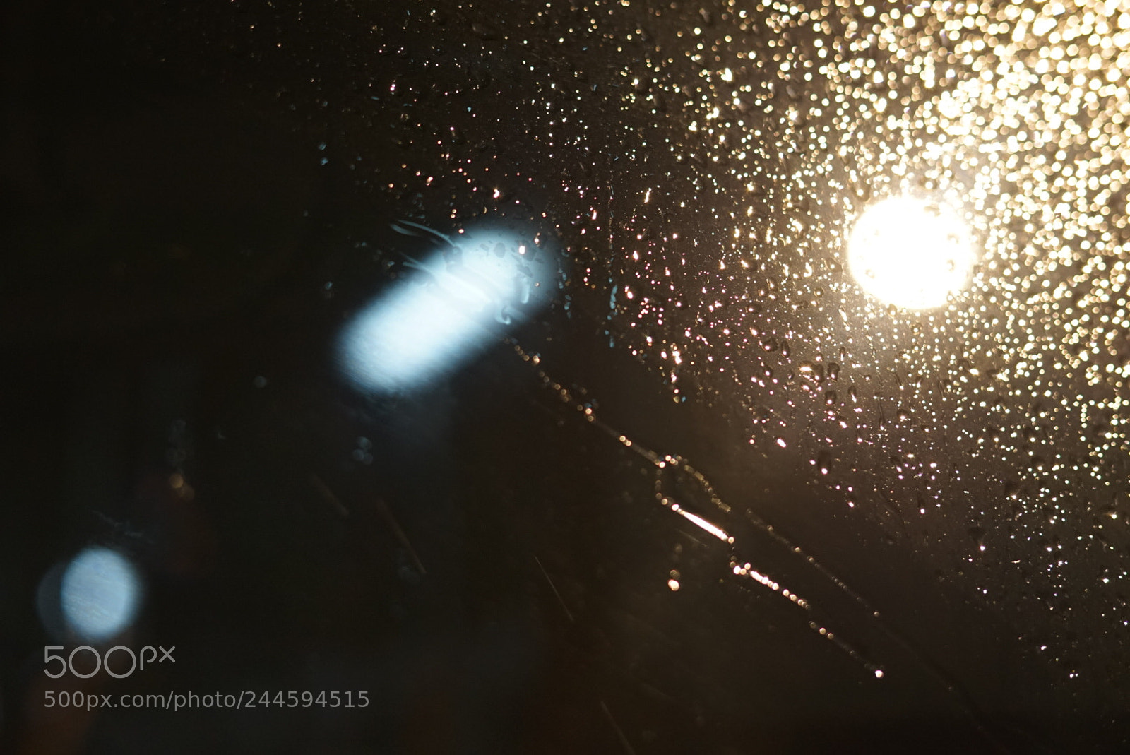 Sony a7 II sample photo. Stars photography