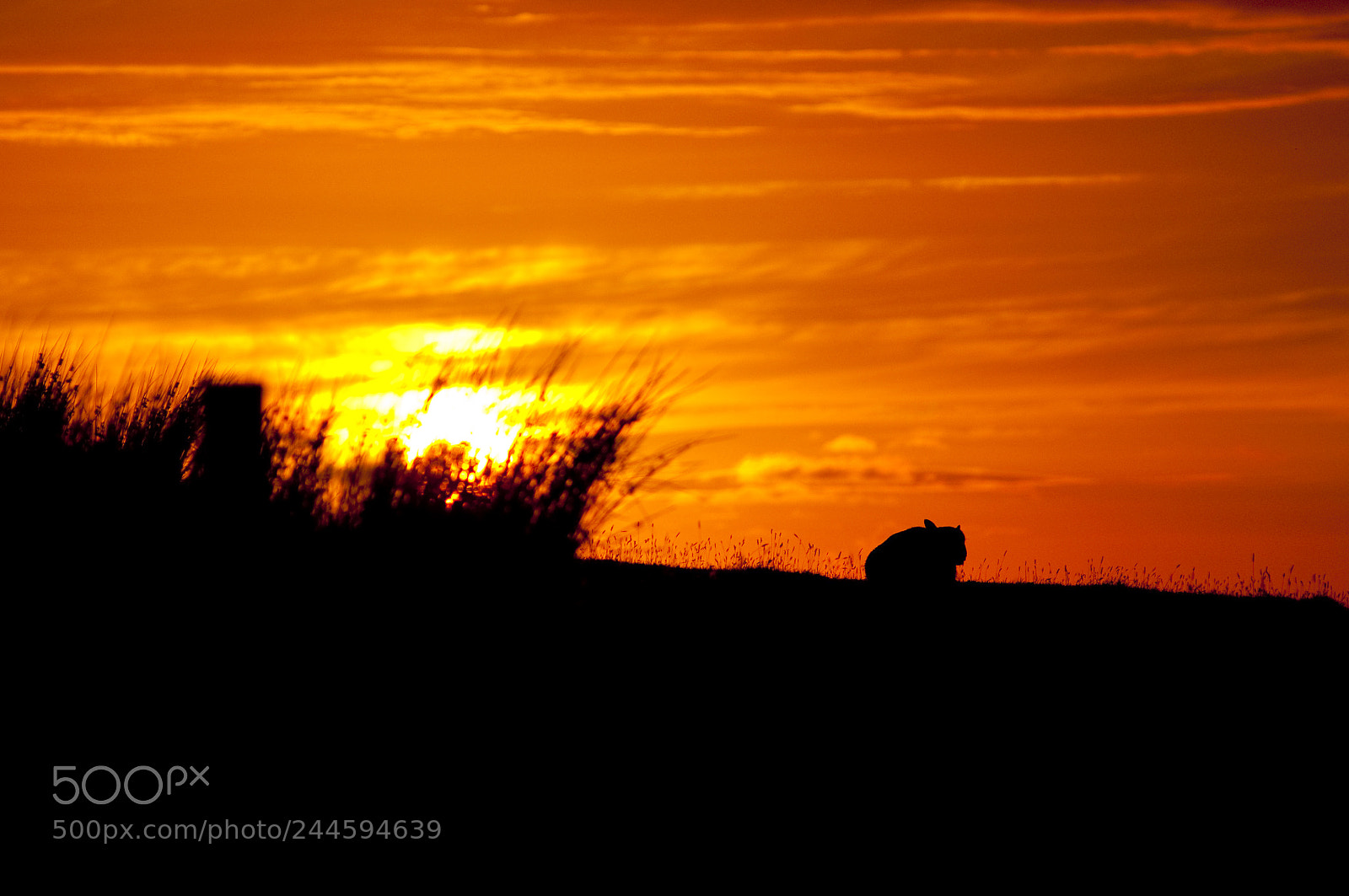 Nikon D90 sample photo. Scotland photography