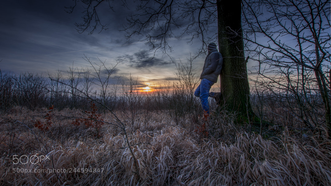 Nikon D7100 sample photo. Robert hoscilo photography
