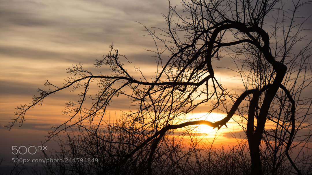 Nikon D7100 sample photo. Robert hoscilo photography