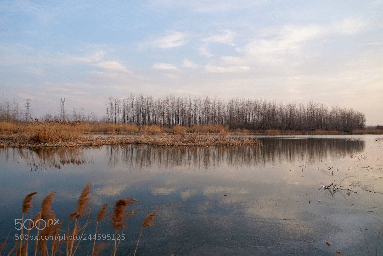 Sony a7R III sample photo. 湿地 photography