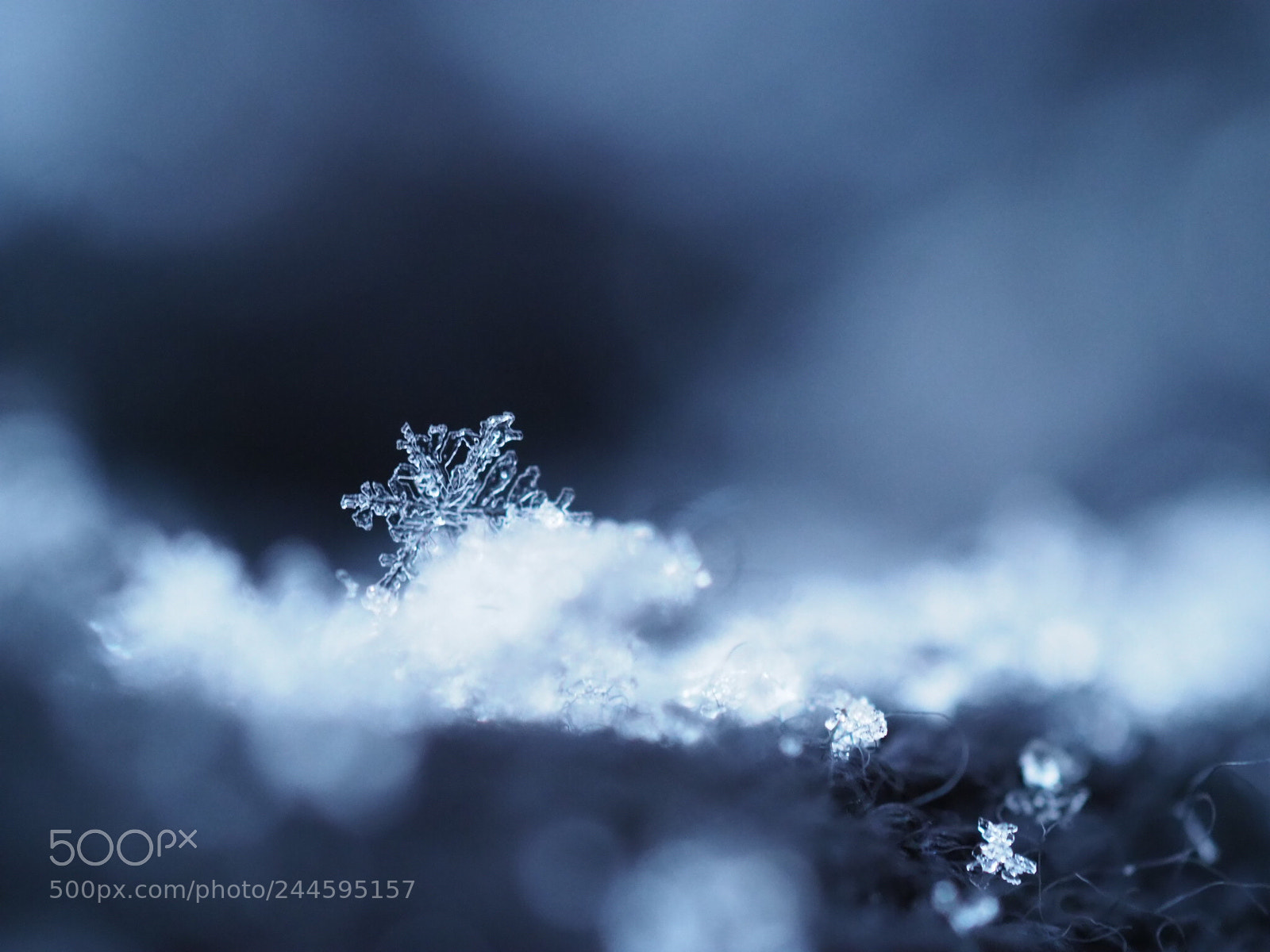 Olympus OM-D E-M1 Mark II sample photo. Snowflake photography